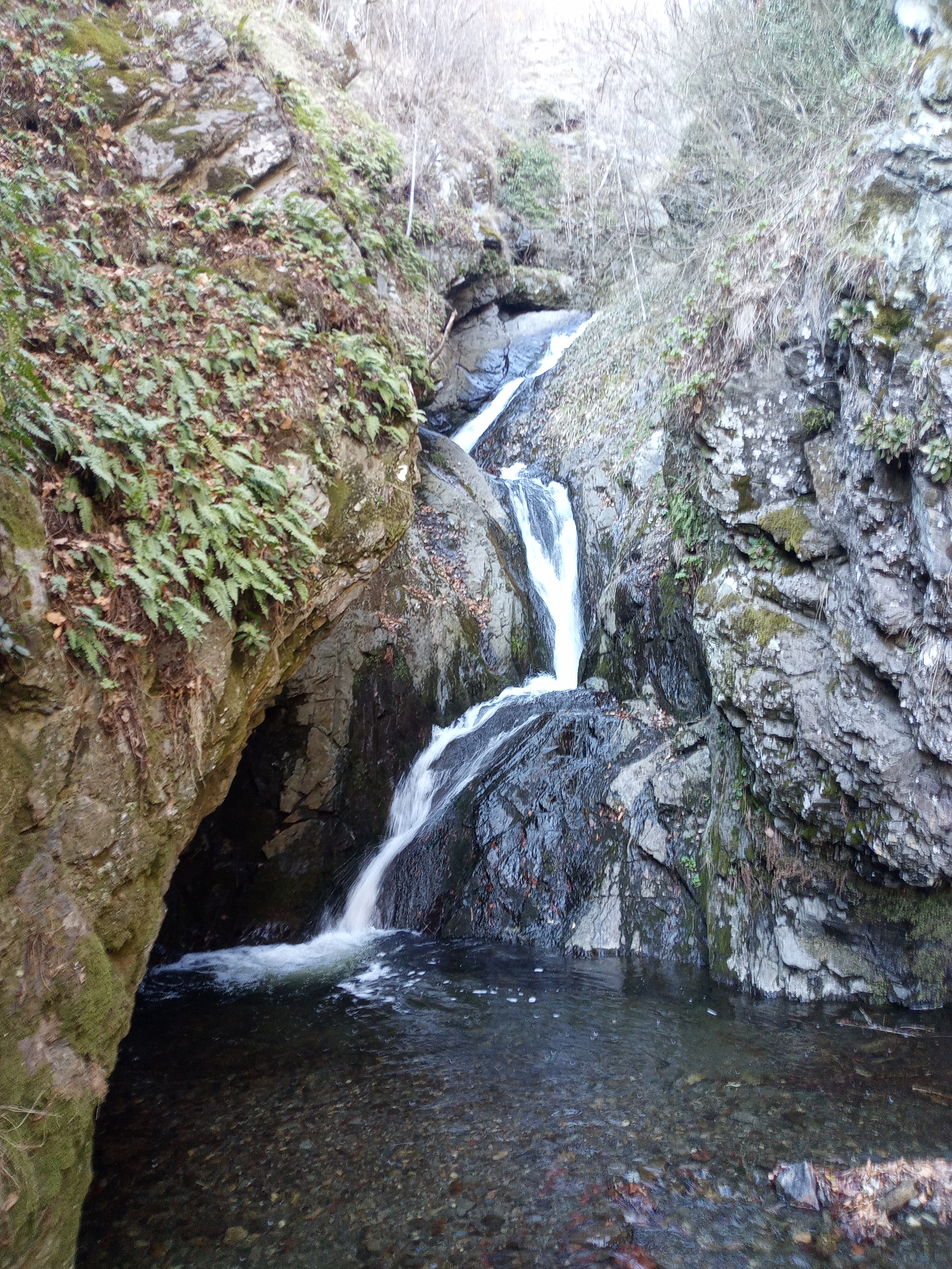 Скоковете Гавращица