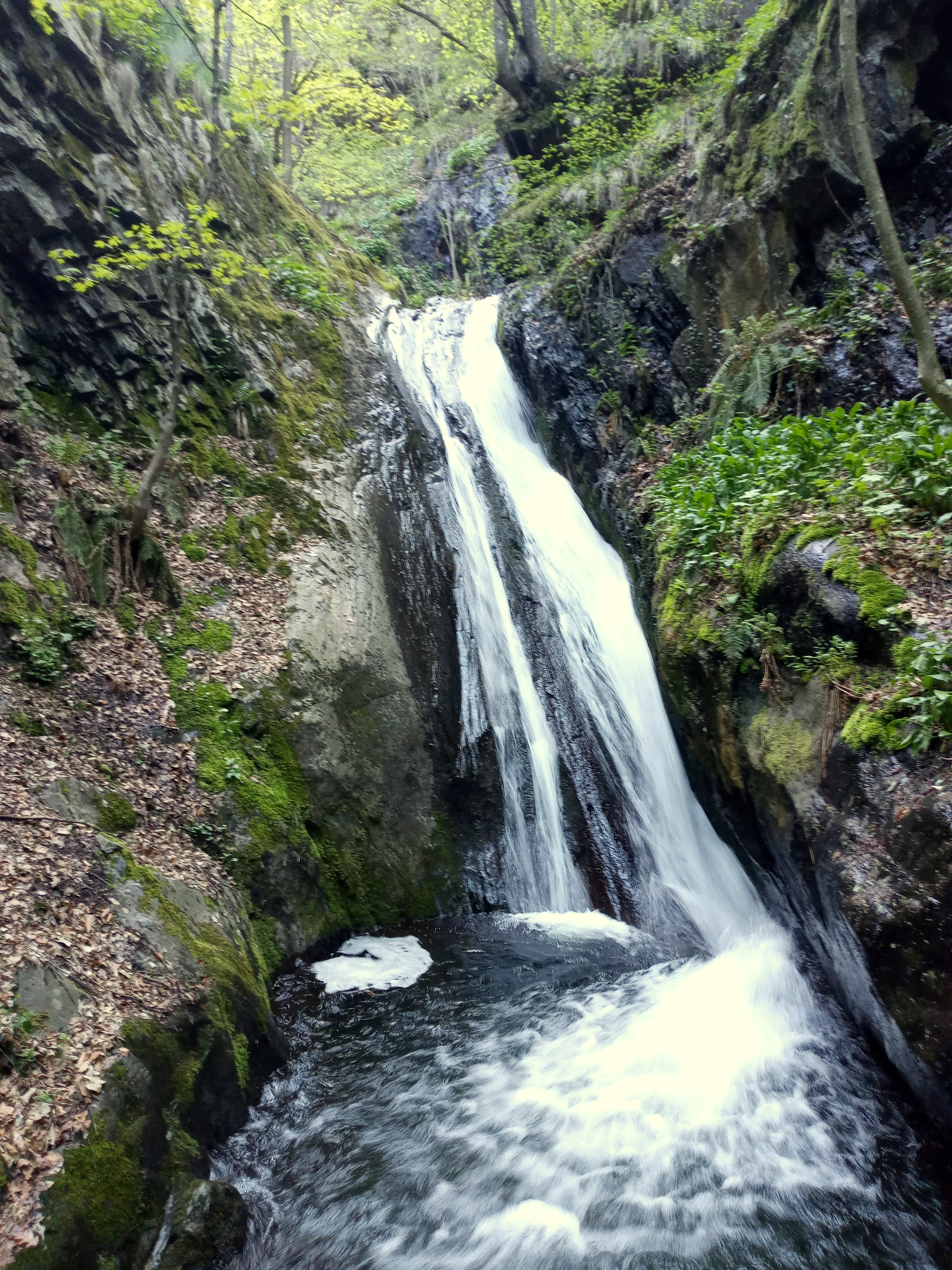 Долен Манастирски водопад 