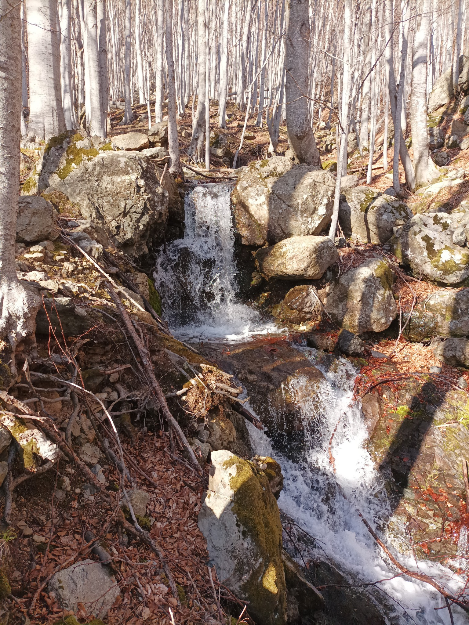 Горни Светишки прагове
