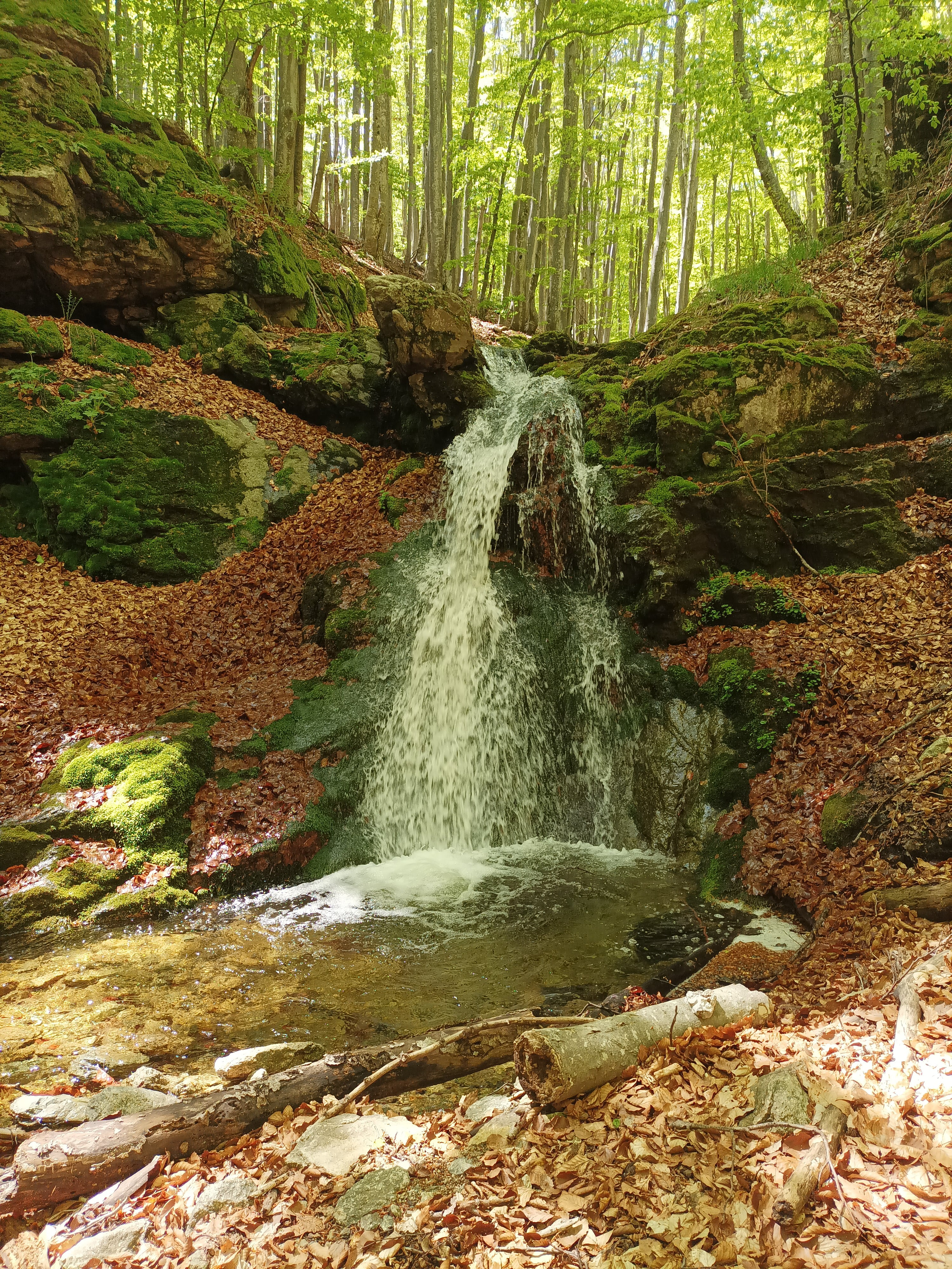 Водопад Заграденица 3