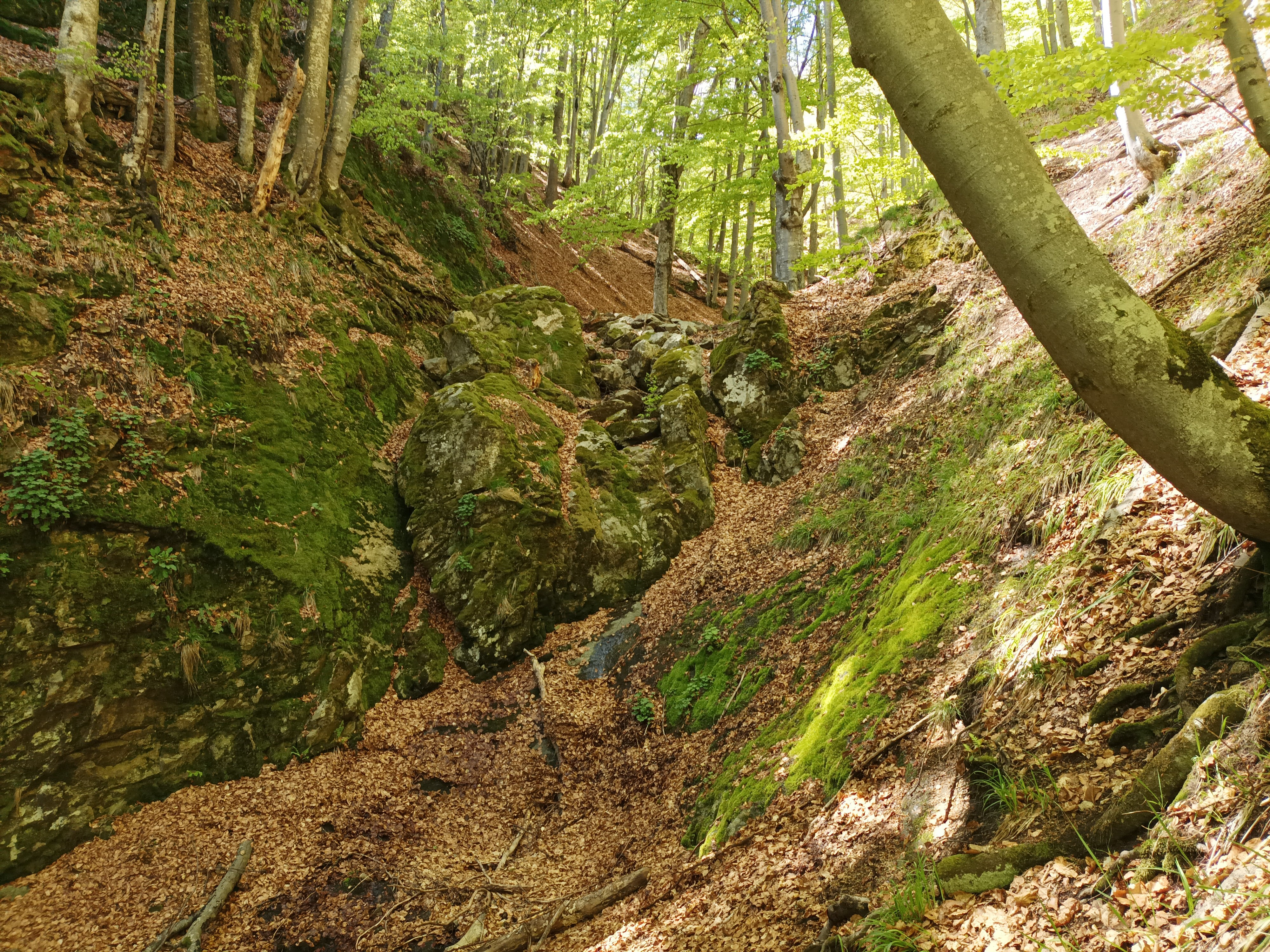 Водопад Заграденица 5