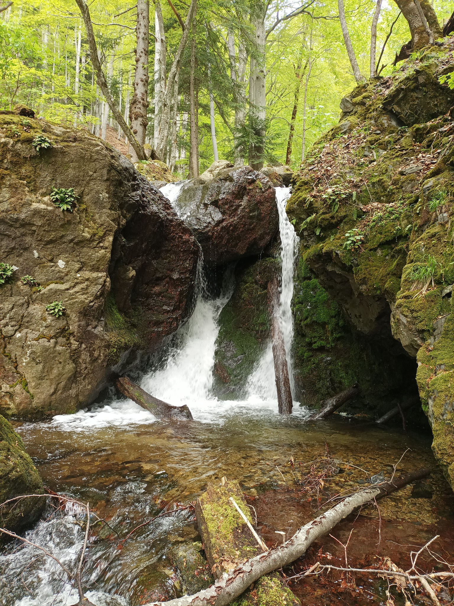 Водопад Петканова вода 2