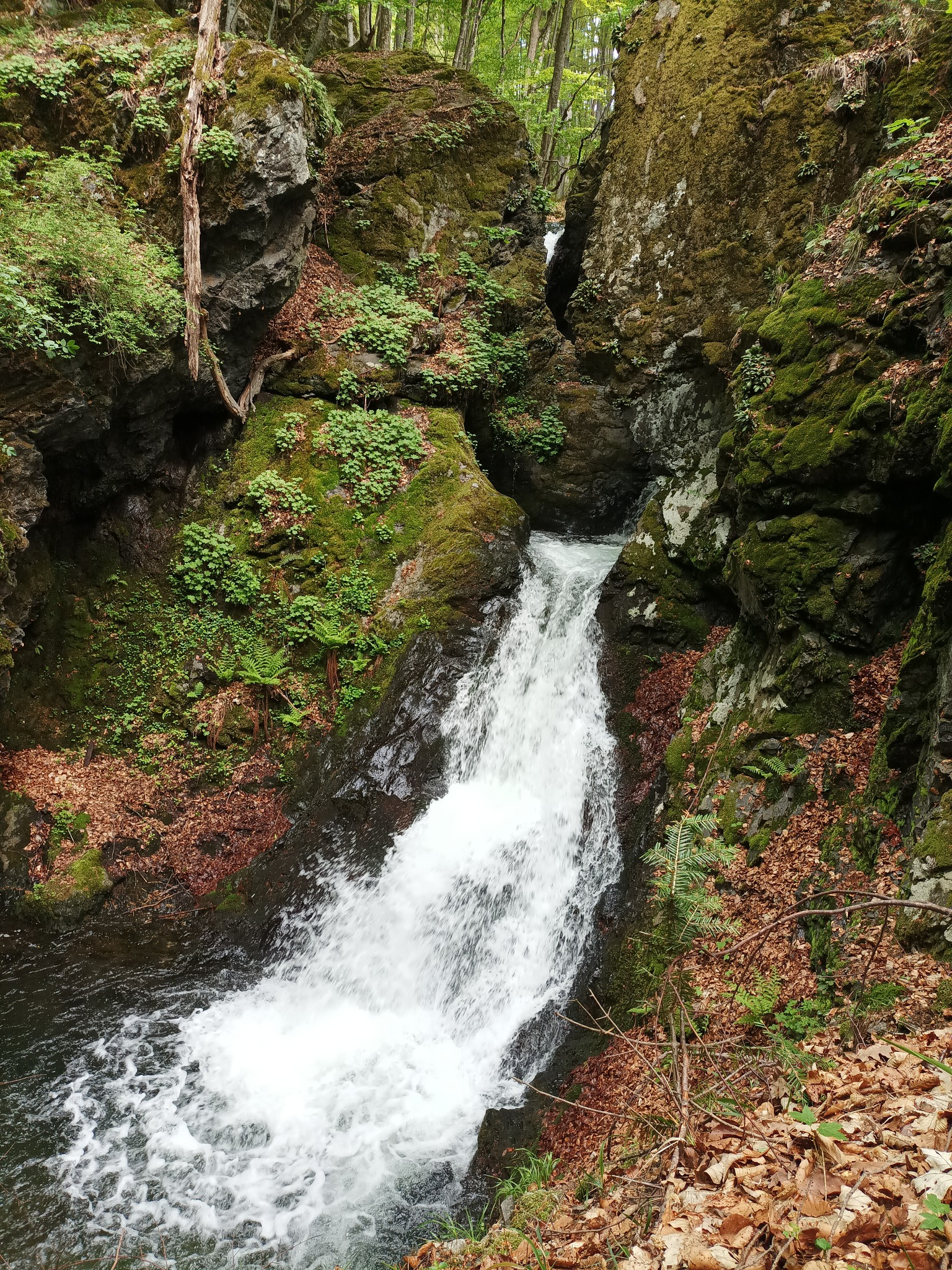 Долна Пенчовска каскада