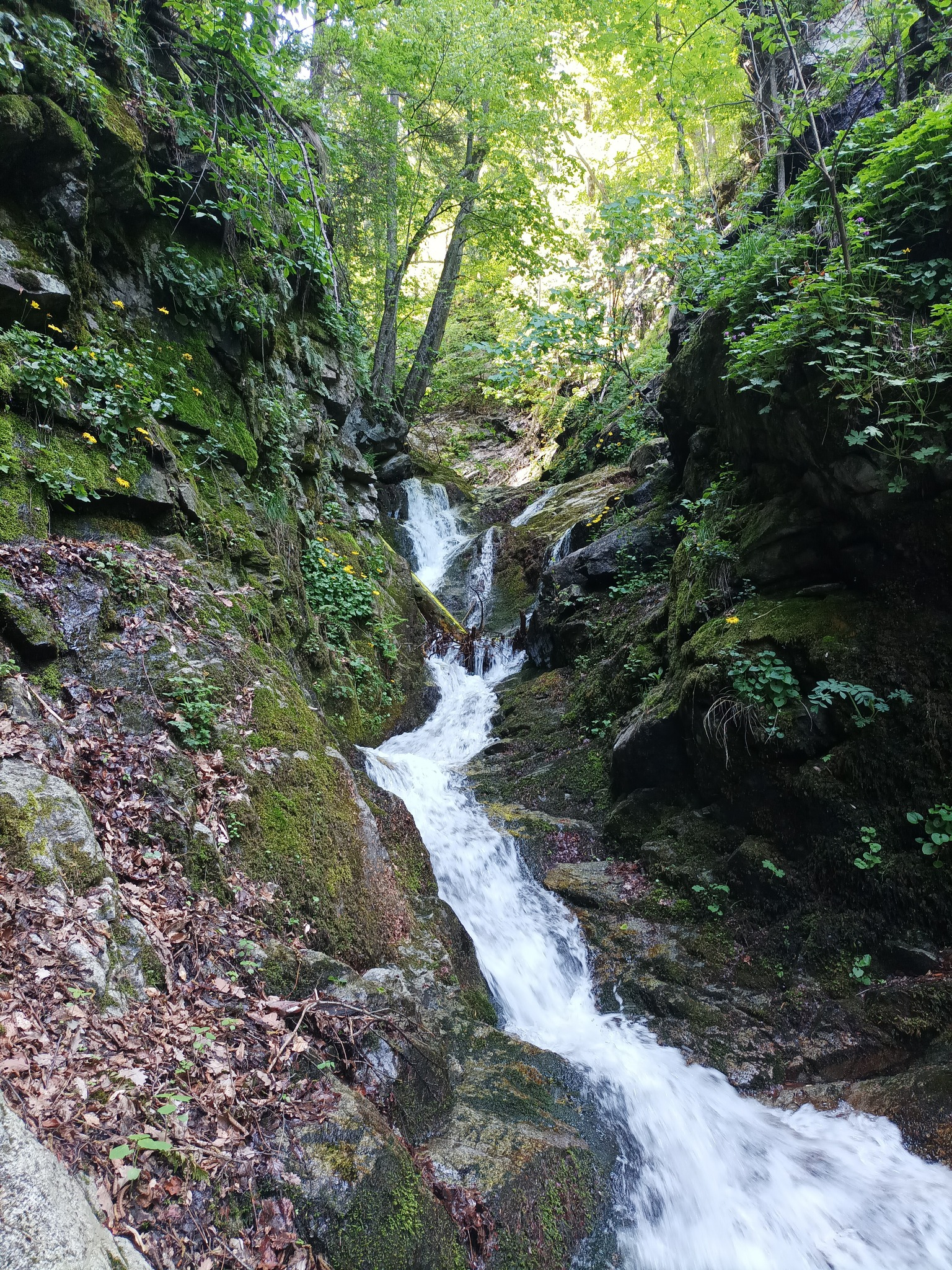 Долна каскада Отбита река