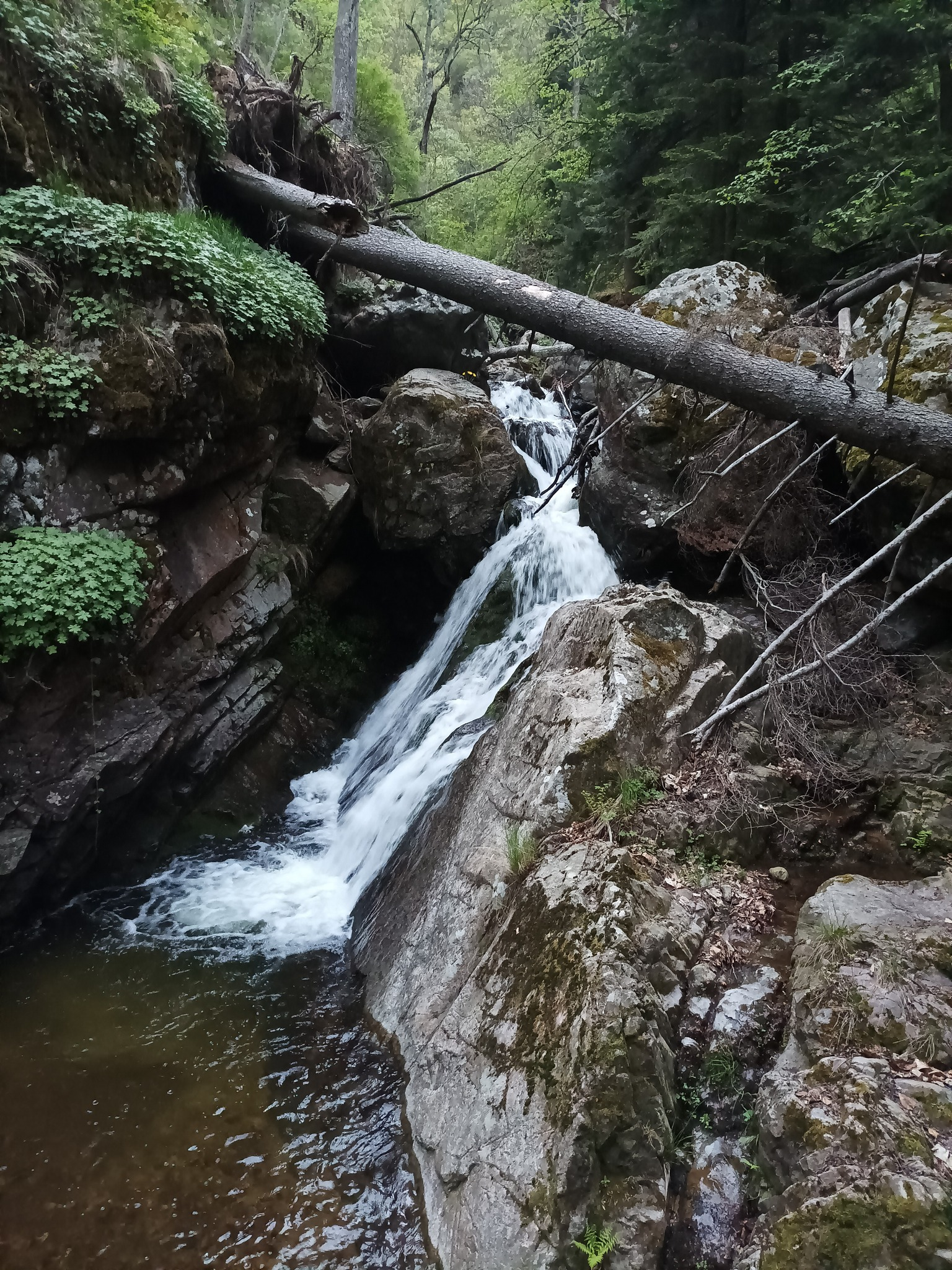 Водопад Равна река 11