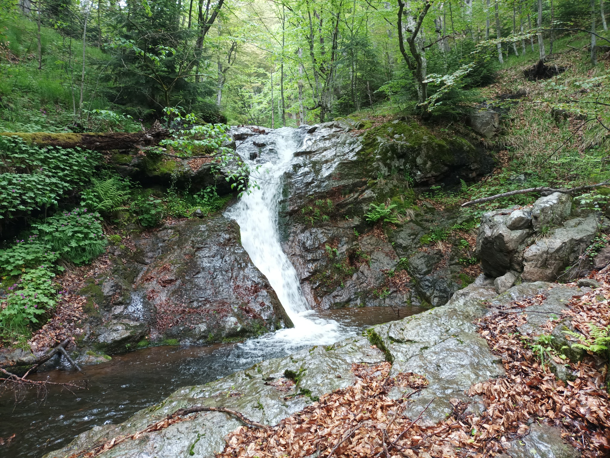 Водопад Равна река 7