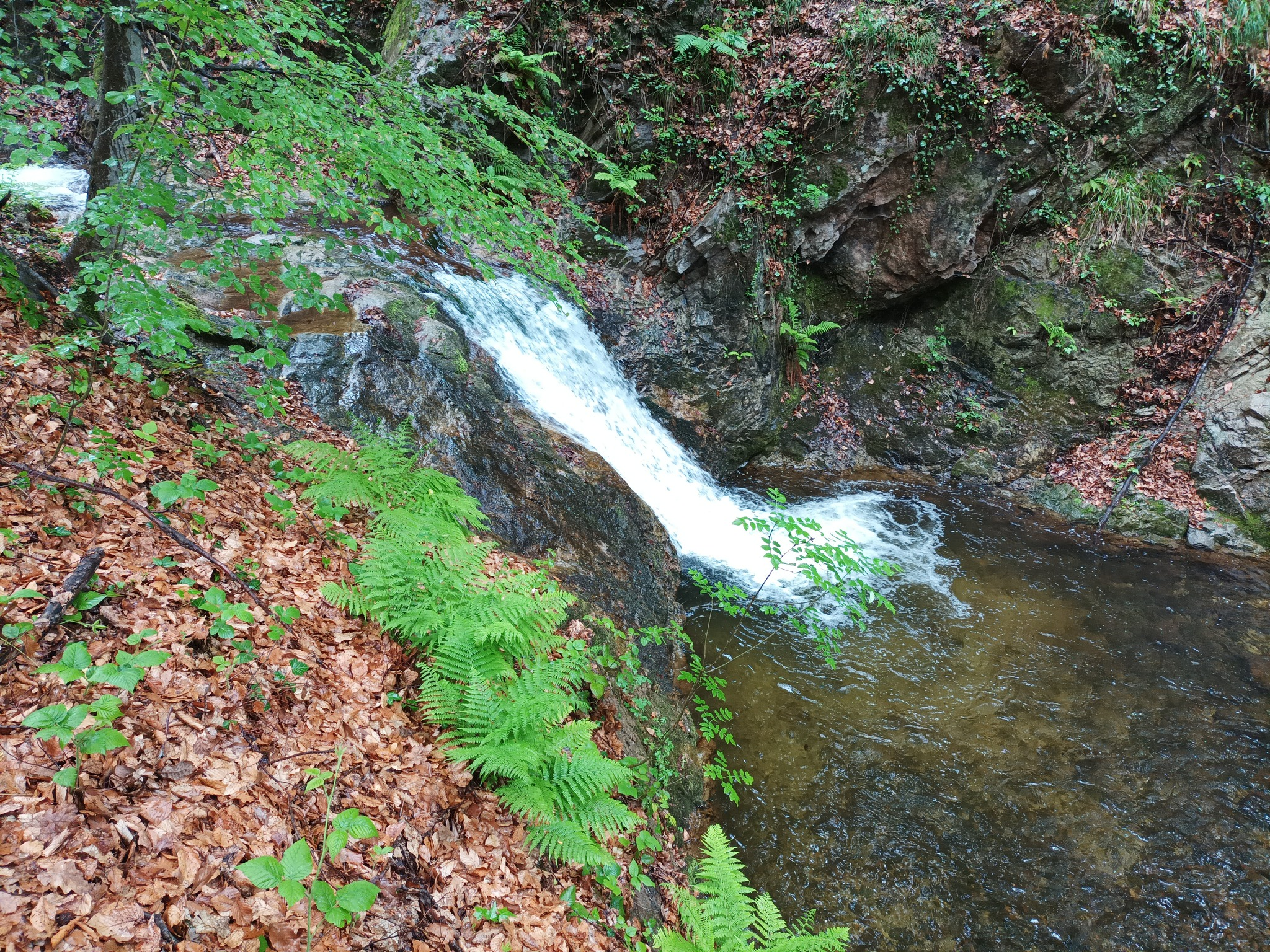 Водопад Равна река 1