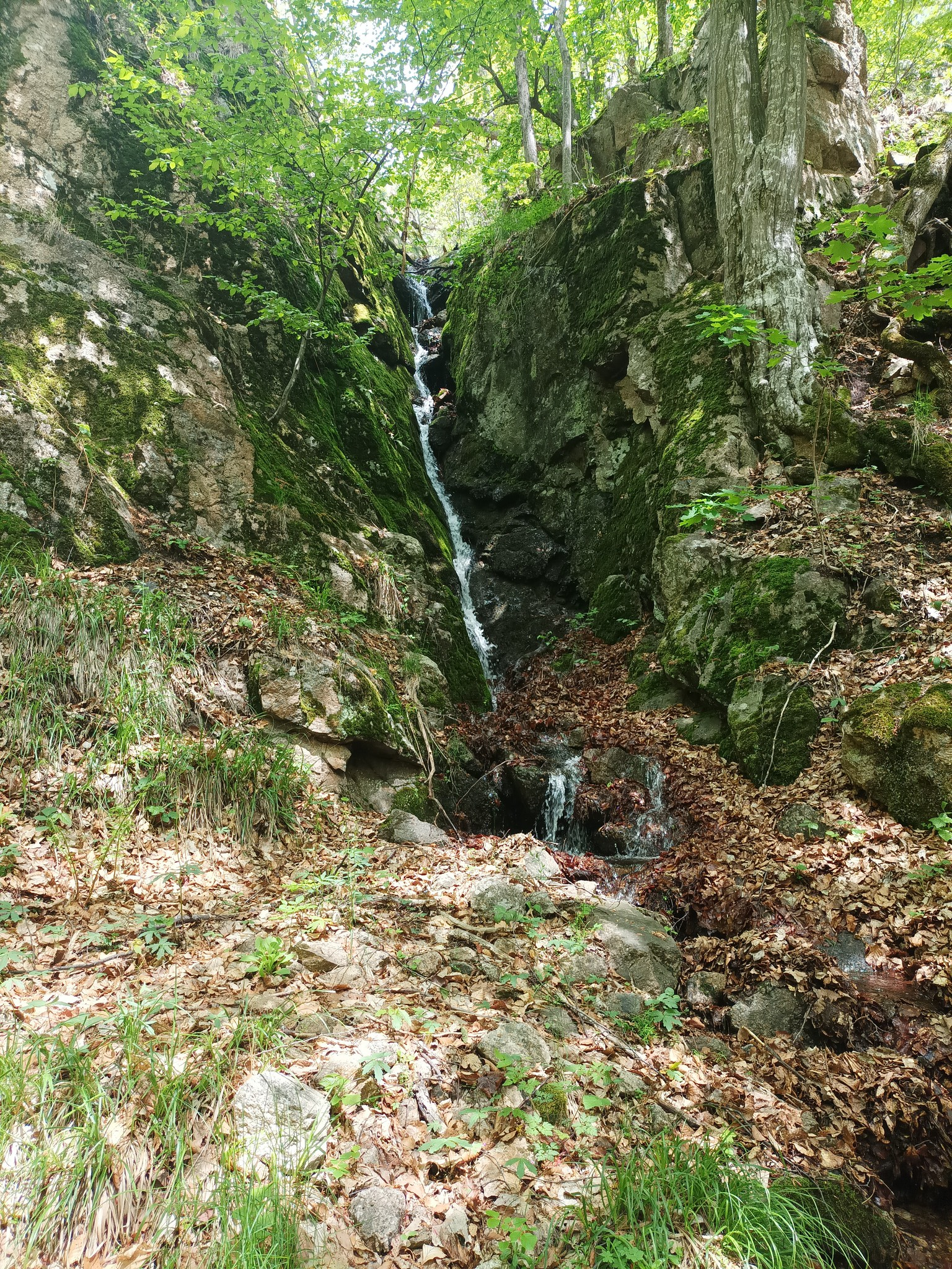 Водопад ляв приток Малък въртоп