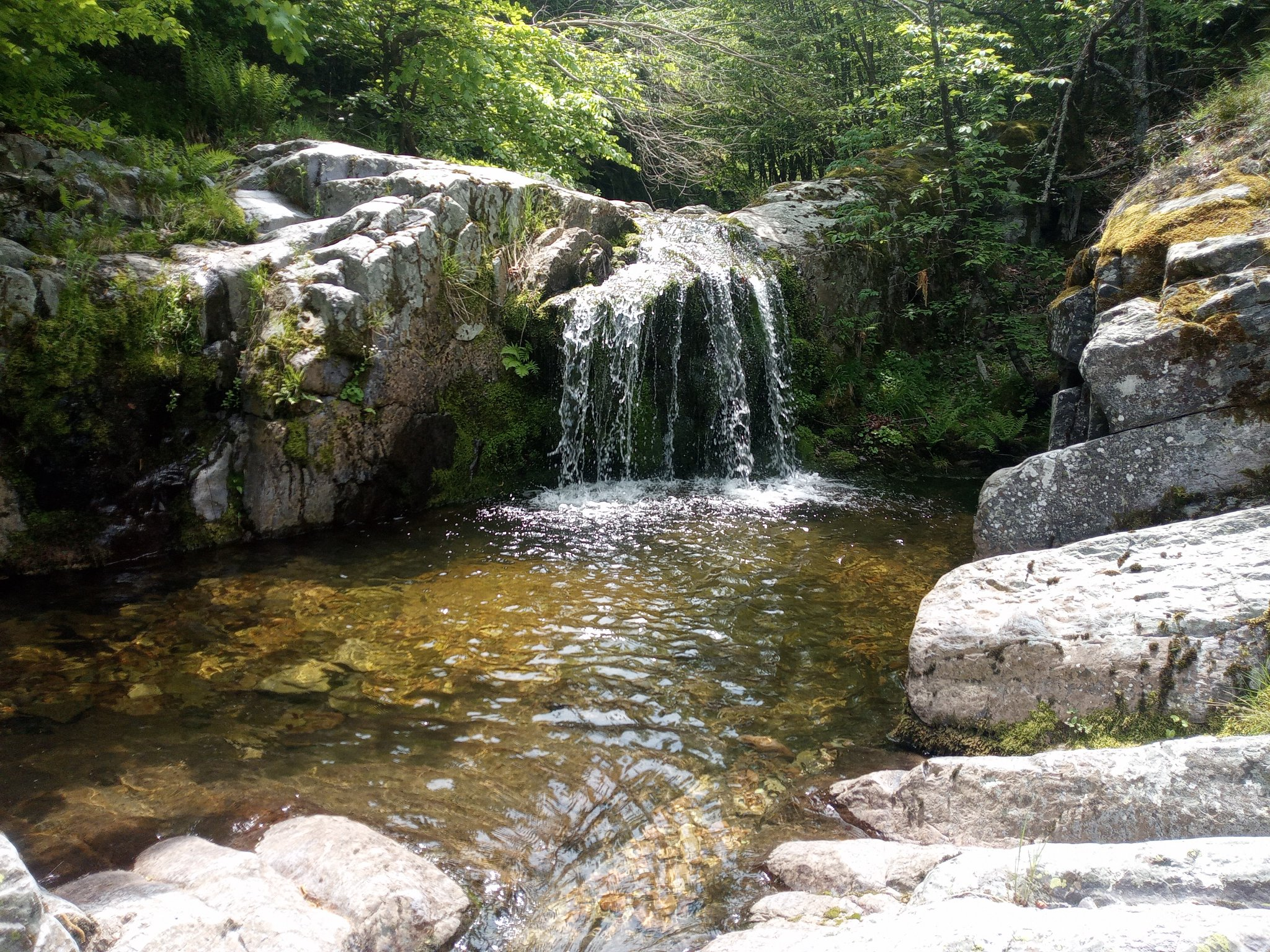 Праг Саръкая дереси