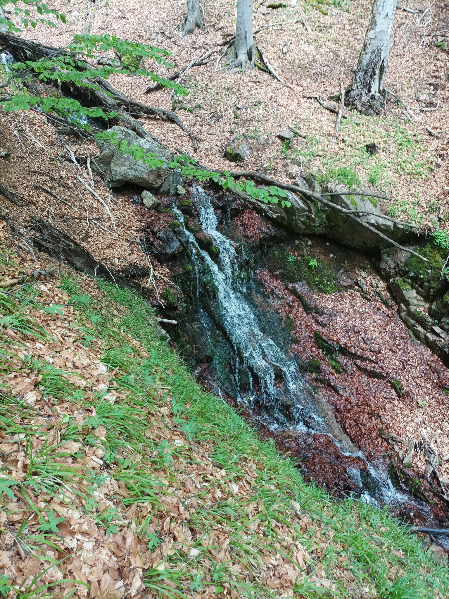 Долен водопад десен приток Малък въртоп