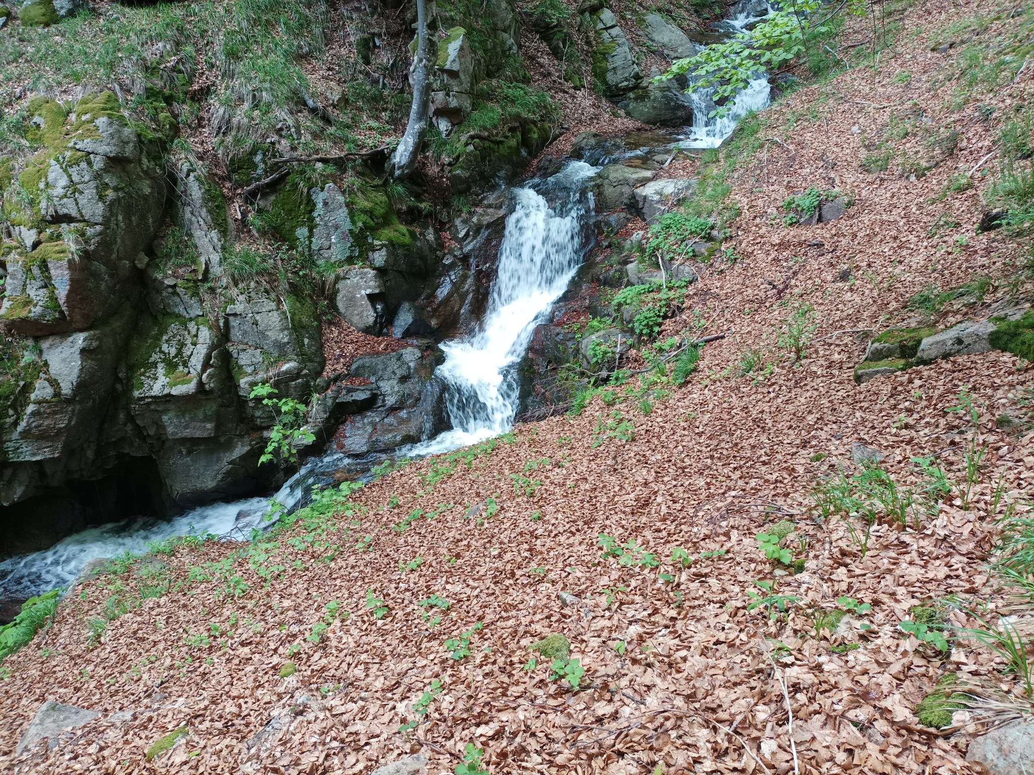 Водопад Пачарезов дол 13