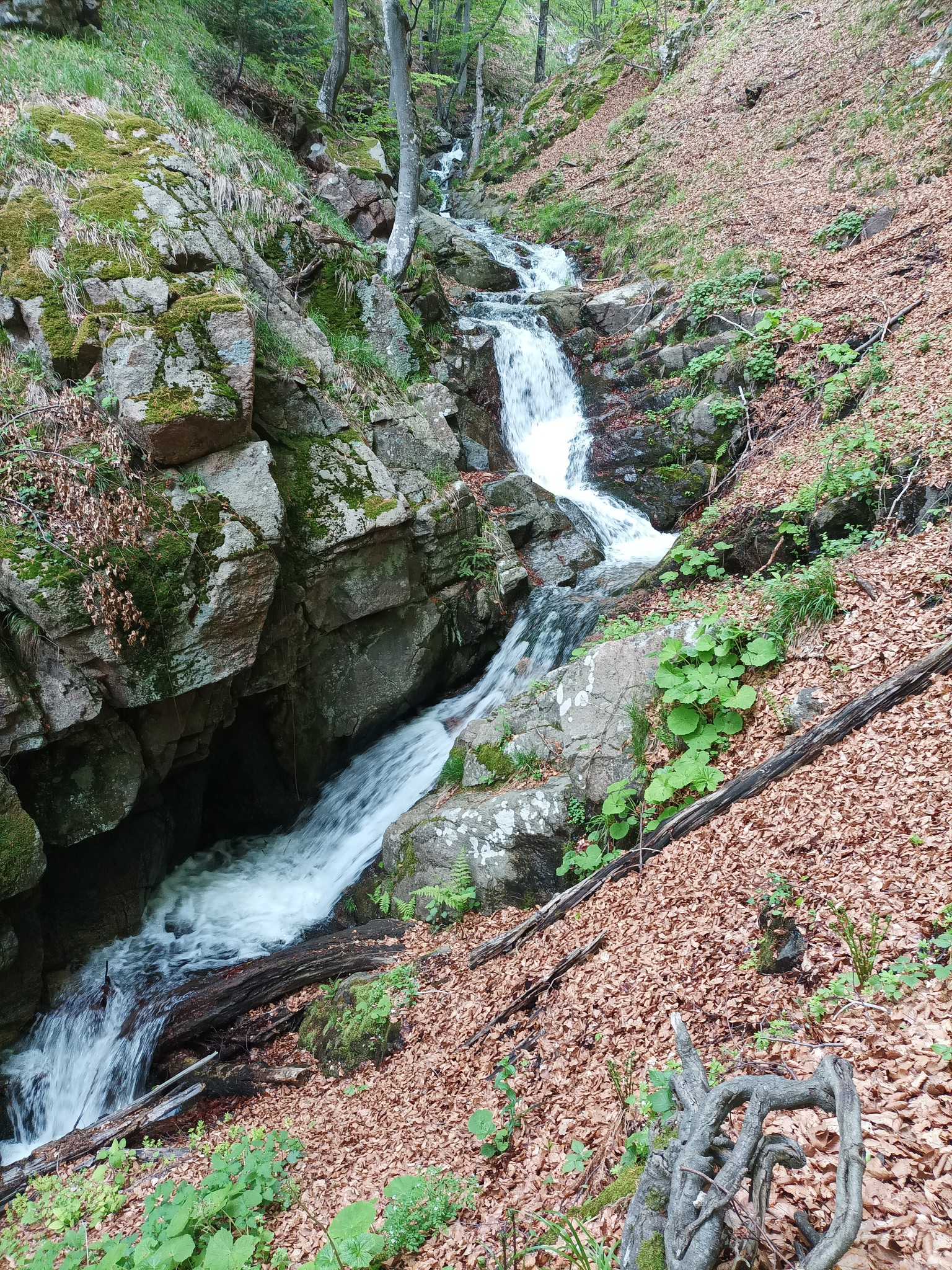 Водопад Пачарезов дол 12