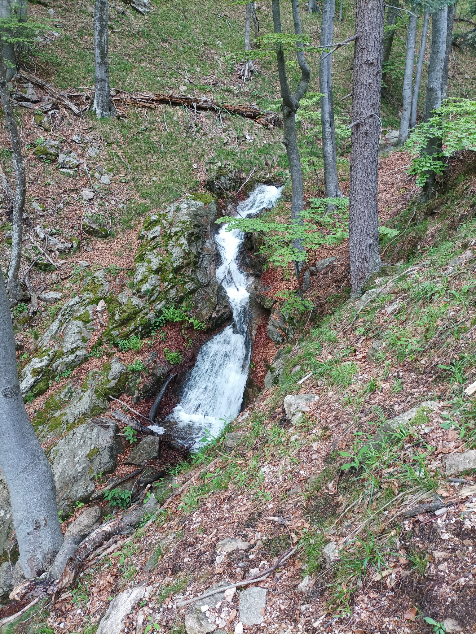 Водопад Пачарезов дол 11