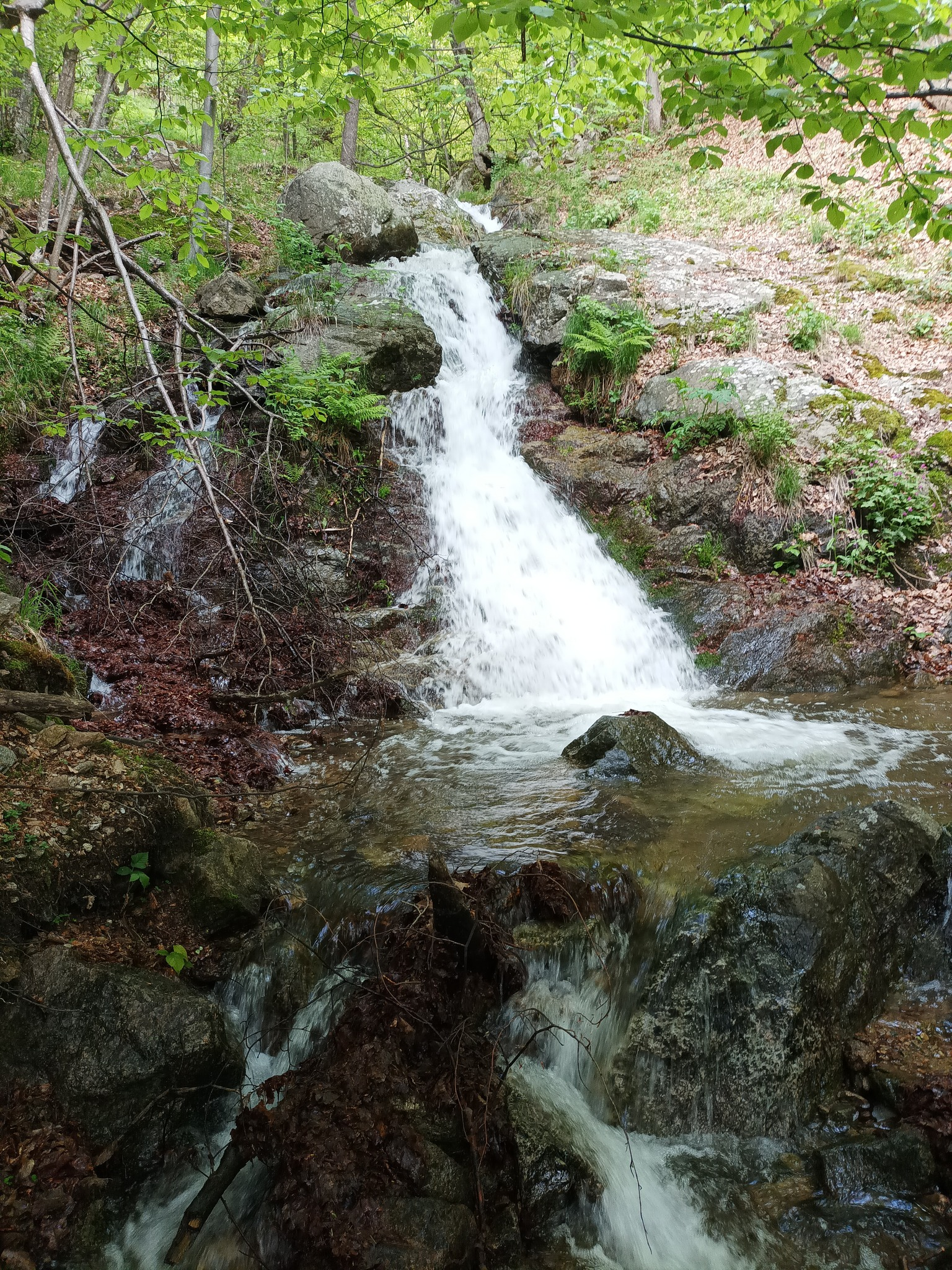 Водопад Пачарезов дол 8