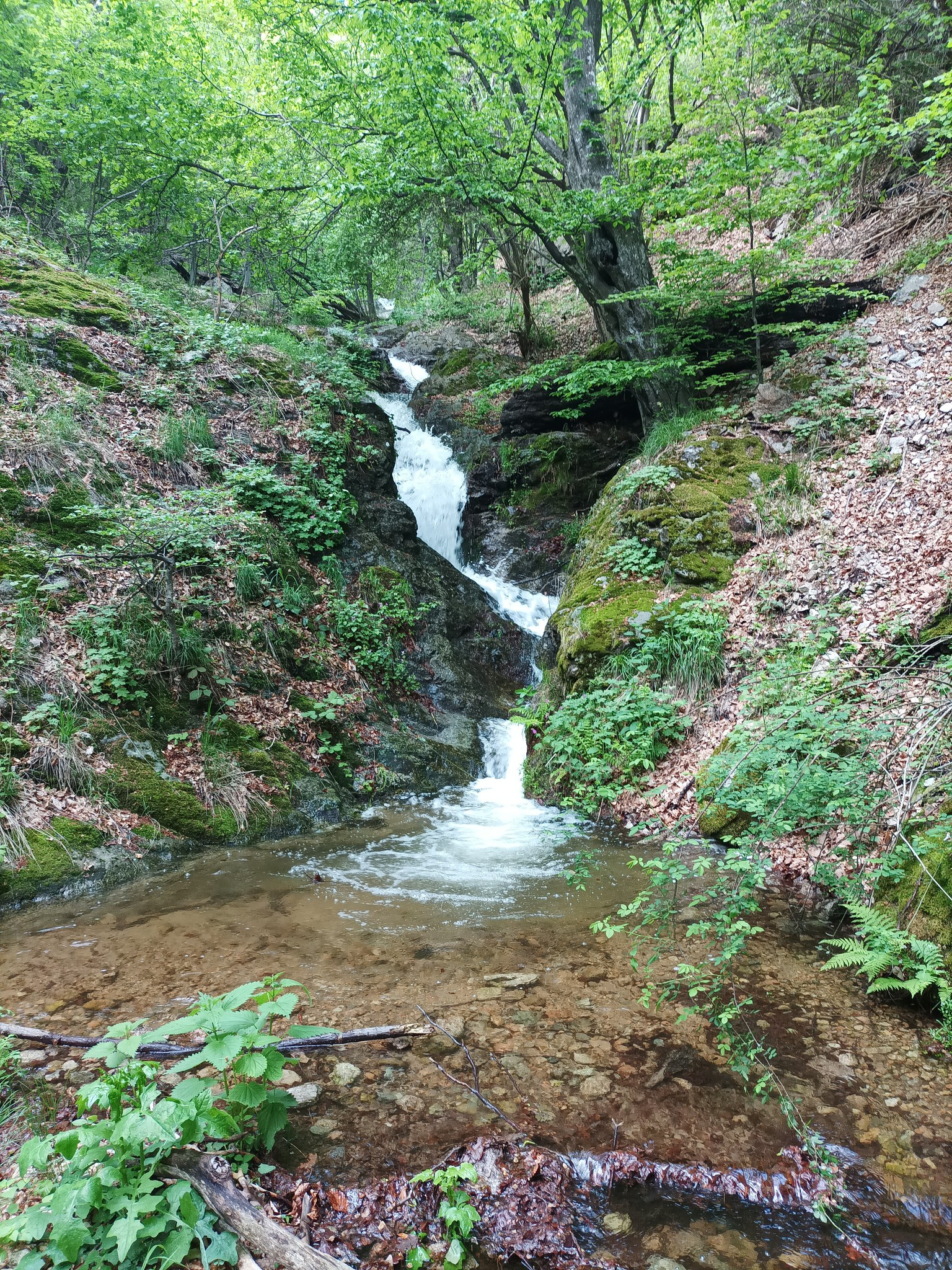 Водопад Пачарезов дол 7