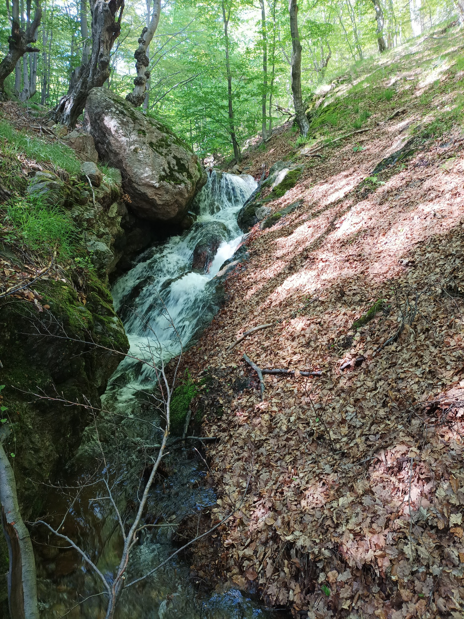 Водопад Пачарезов дол 4
