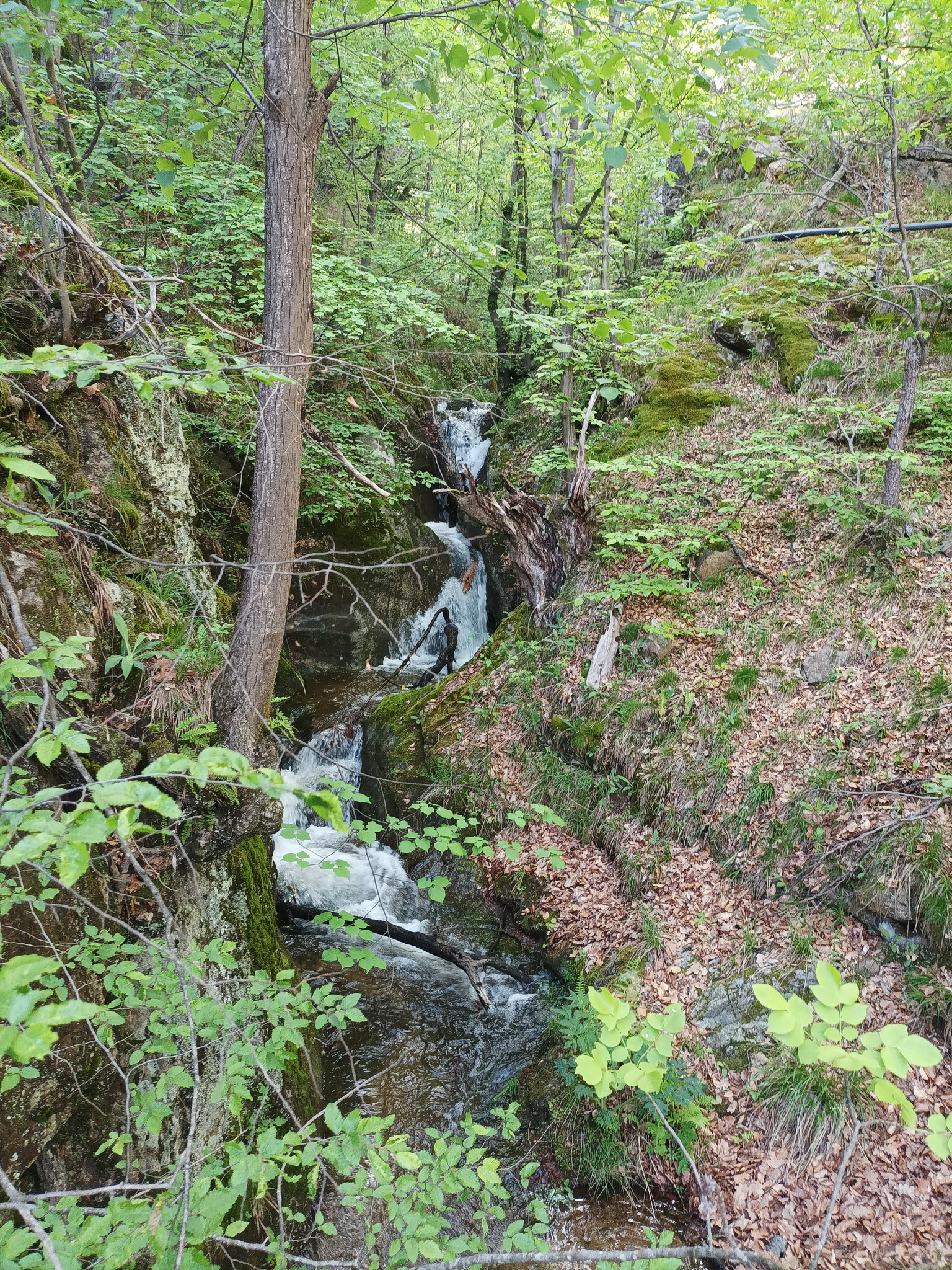 Водопад Пачарезов дол 3
