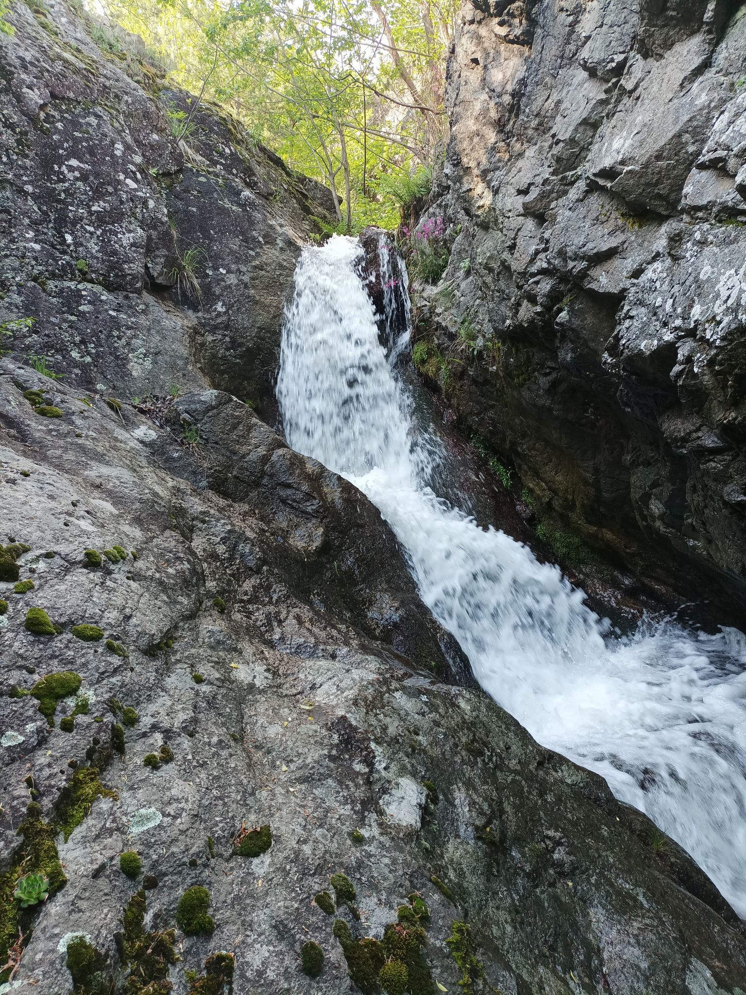 Долен Пачарезов водопад