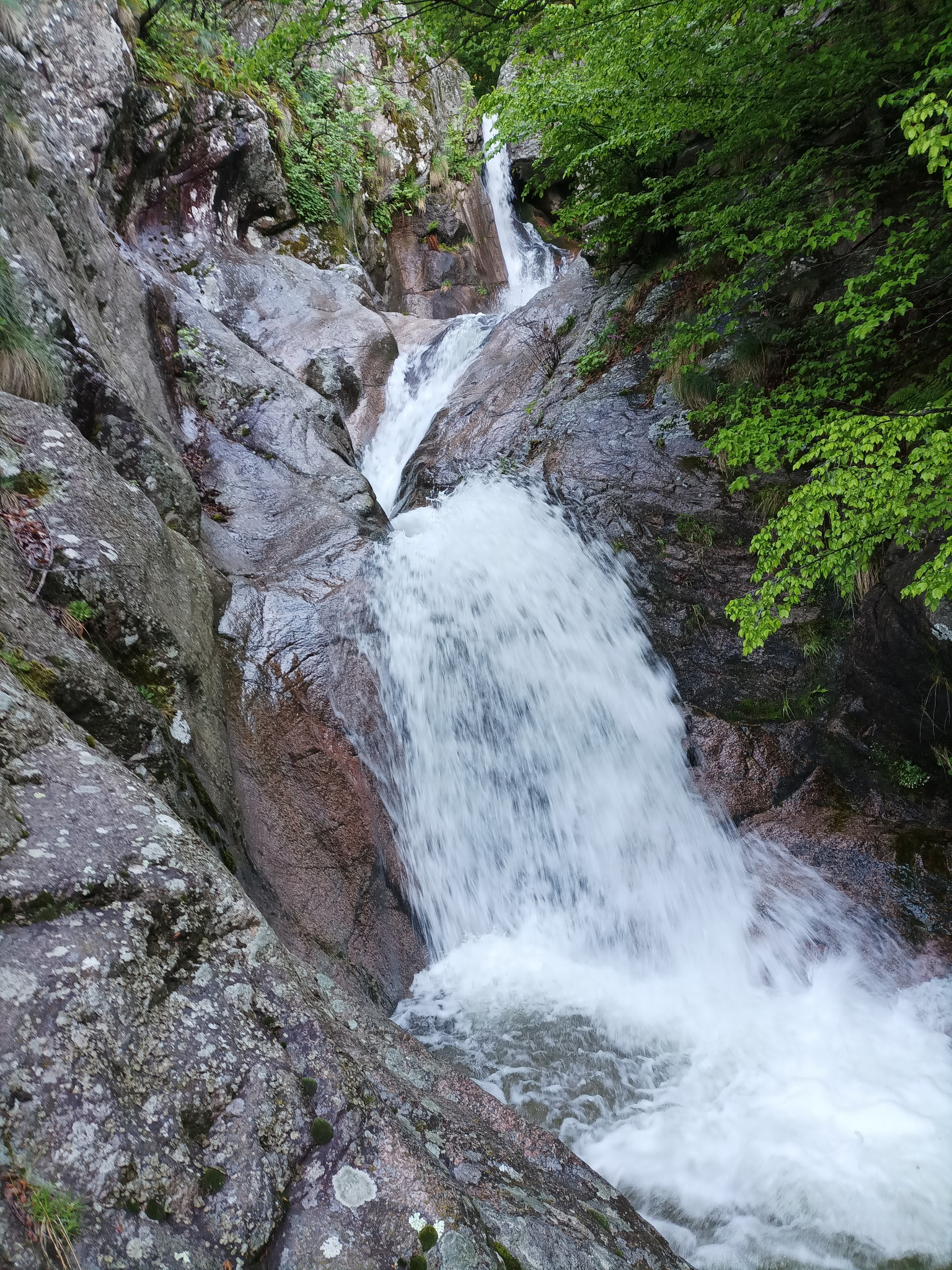Каскада Каменица