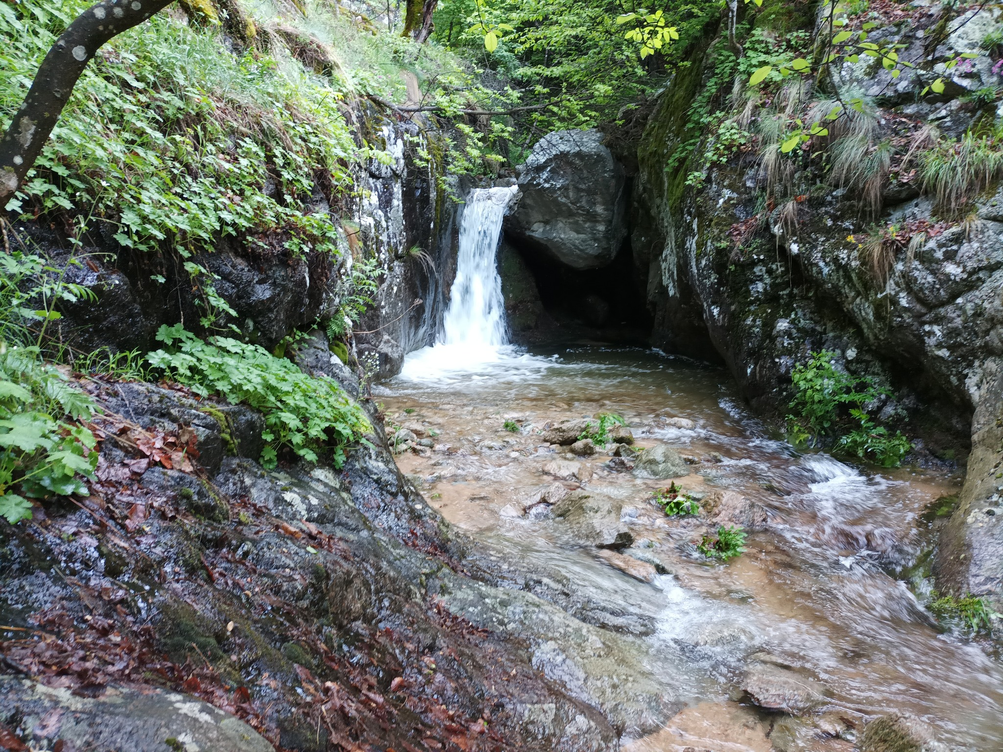 Долен водопад Каменица