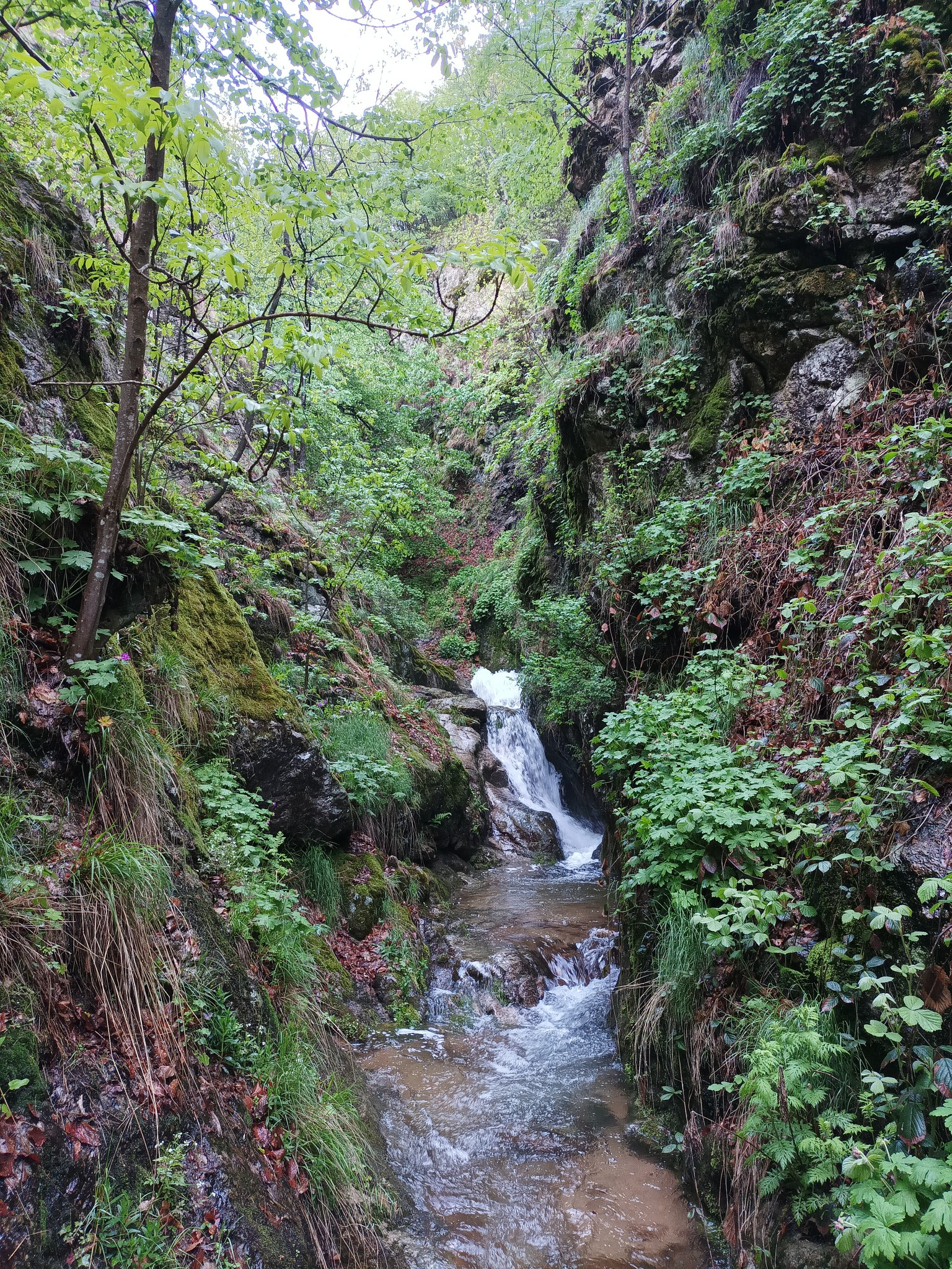 Водопад Каменица 10