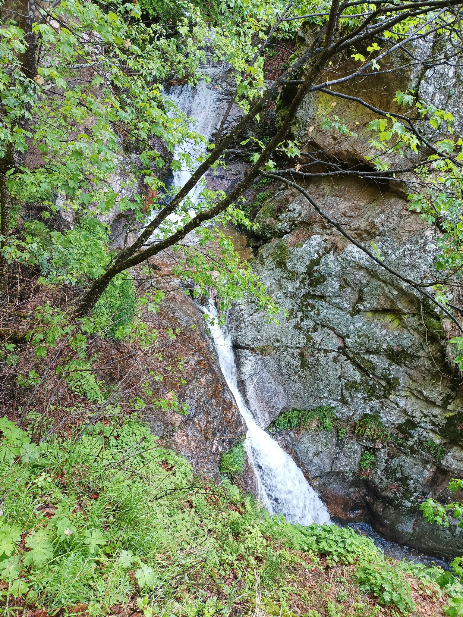 Горна каскада Каменица