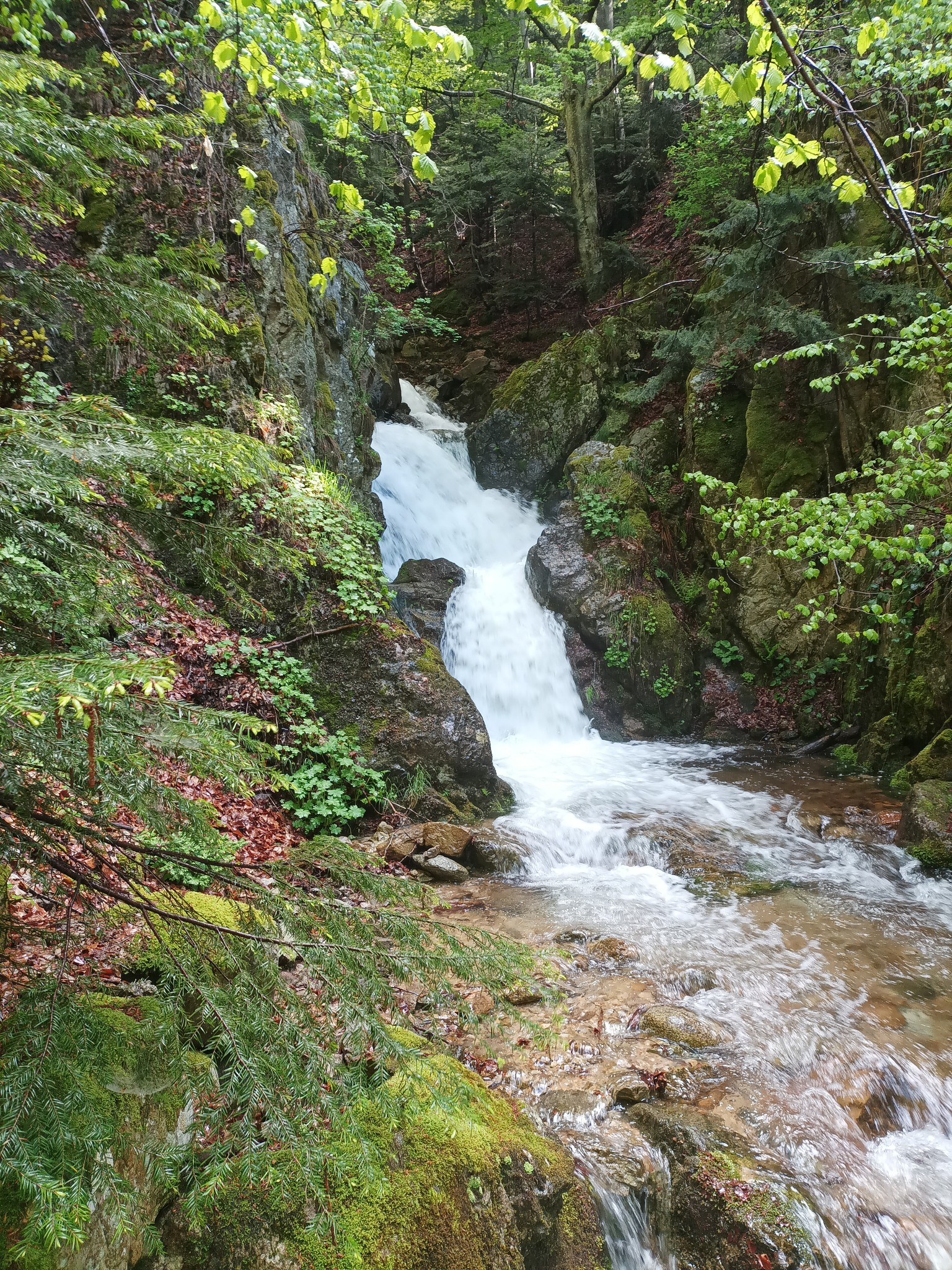 Водопад Каменица 13