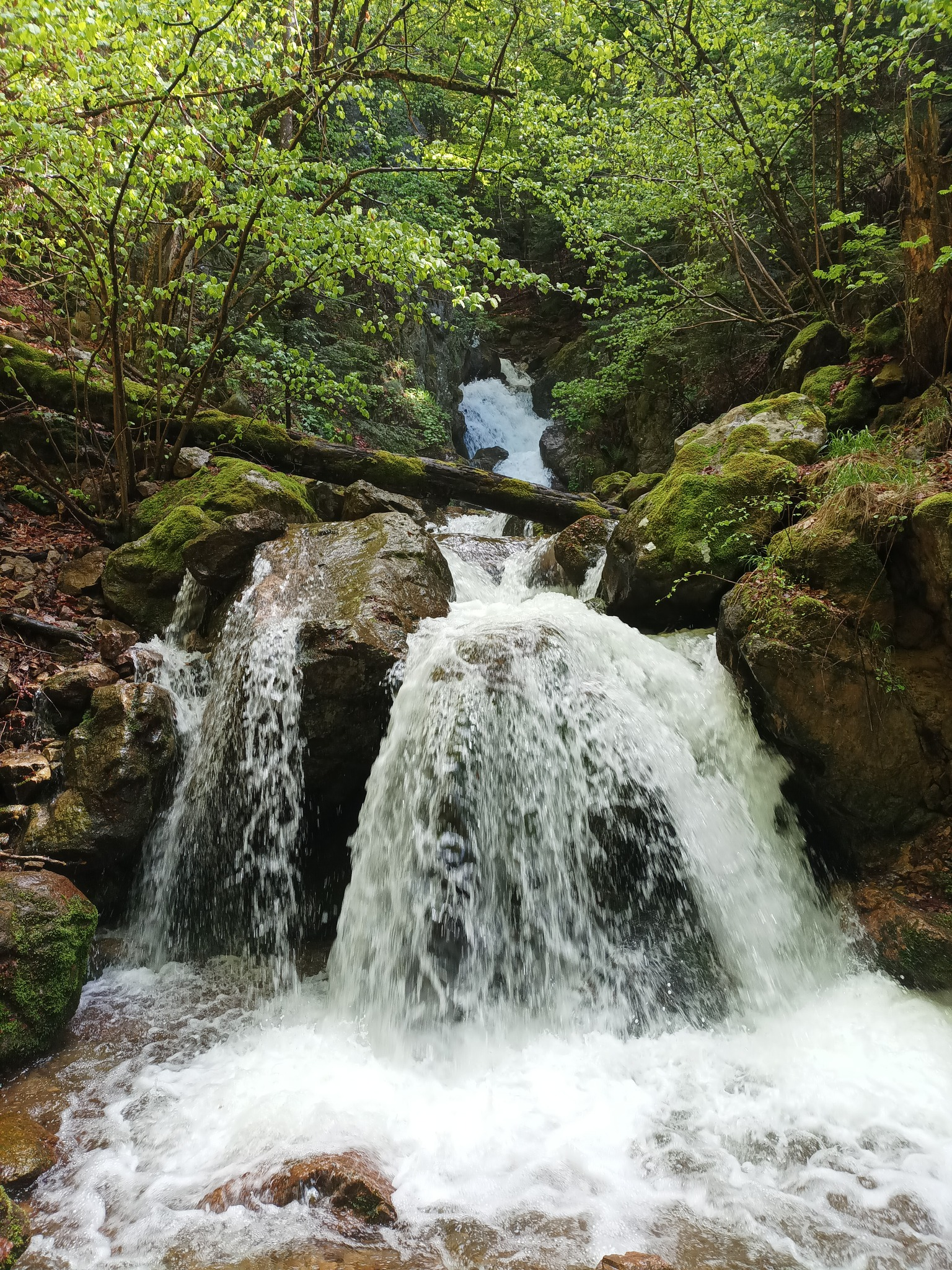 Водопад Каменица 12