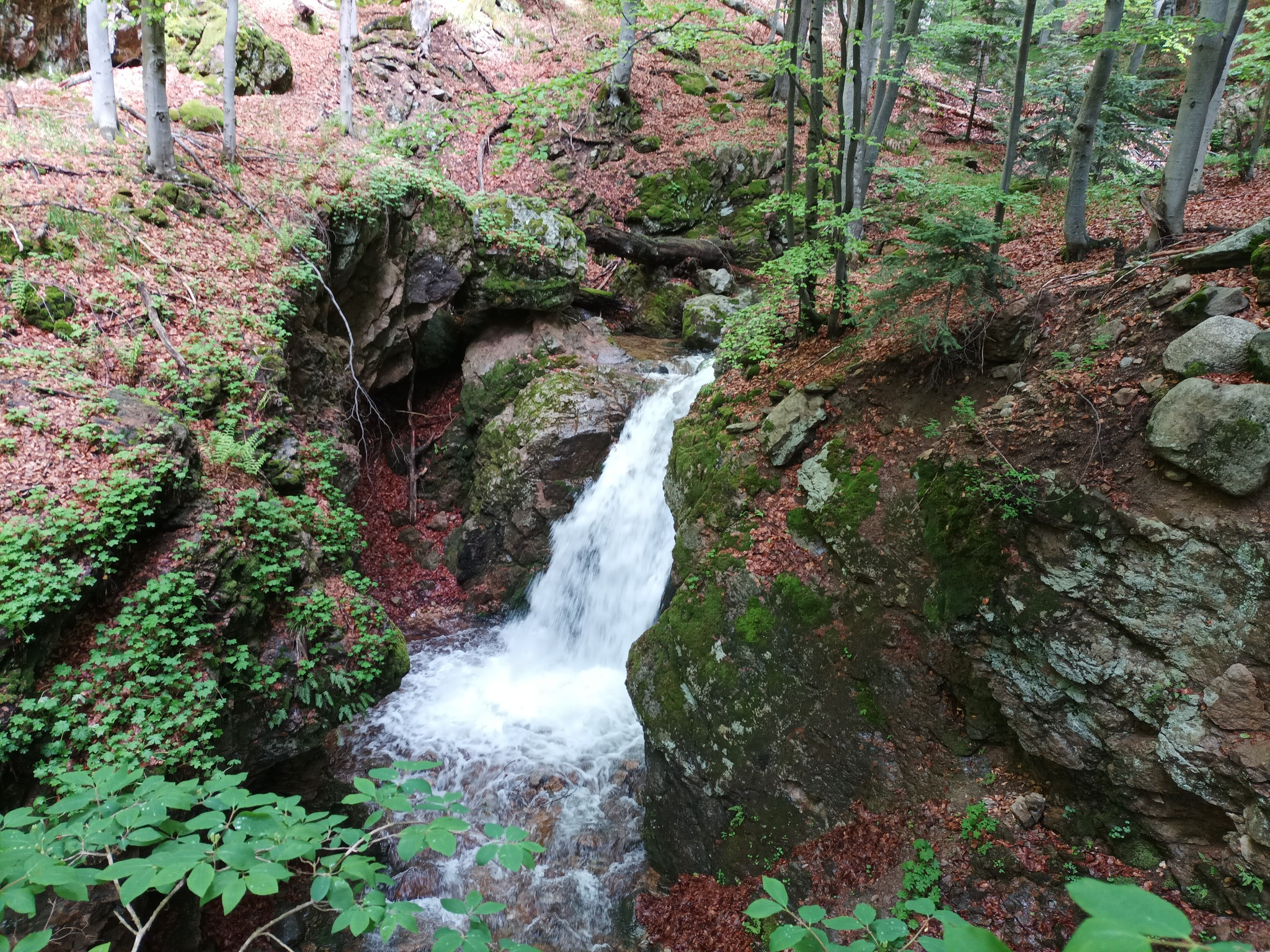 Водопад Каменица 14