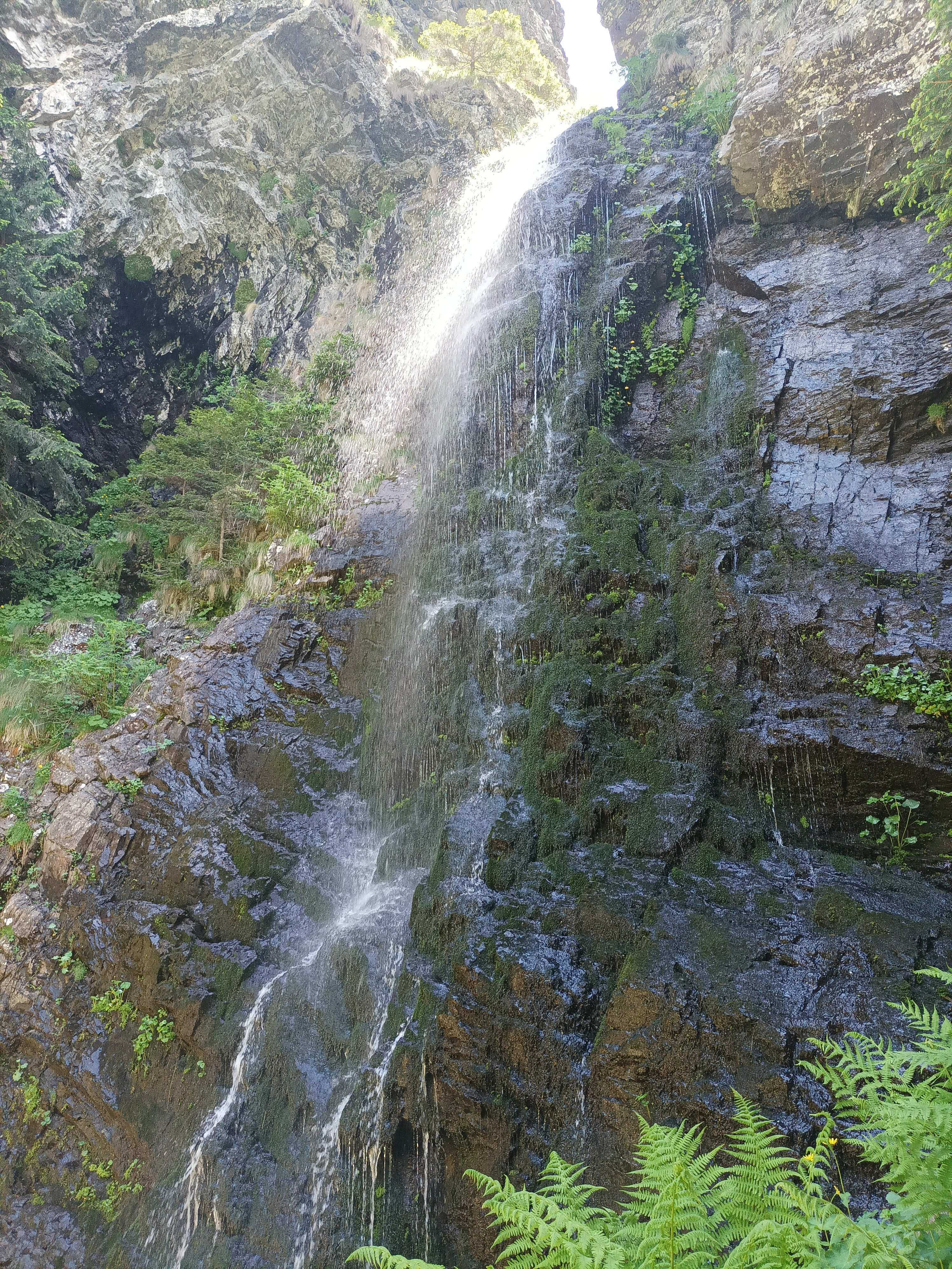 Опаджашко пръскало