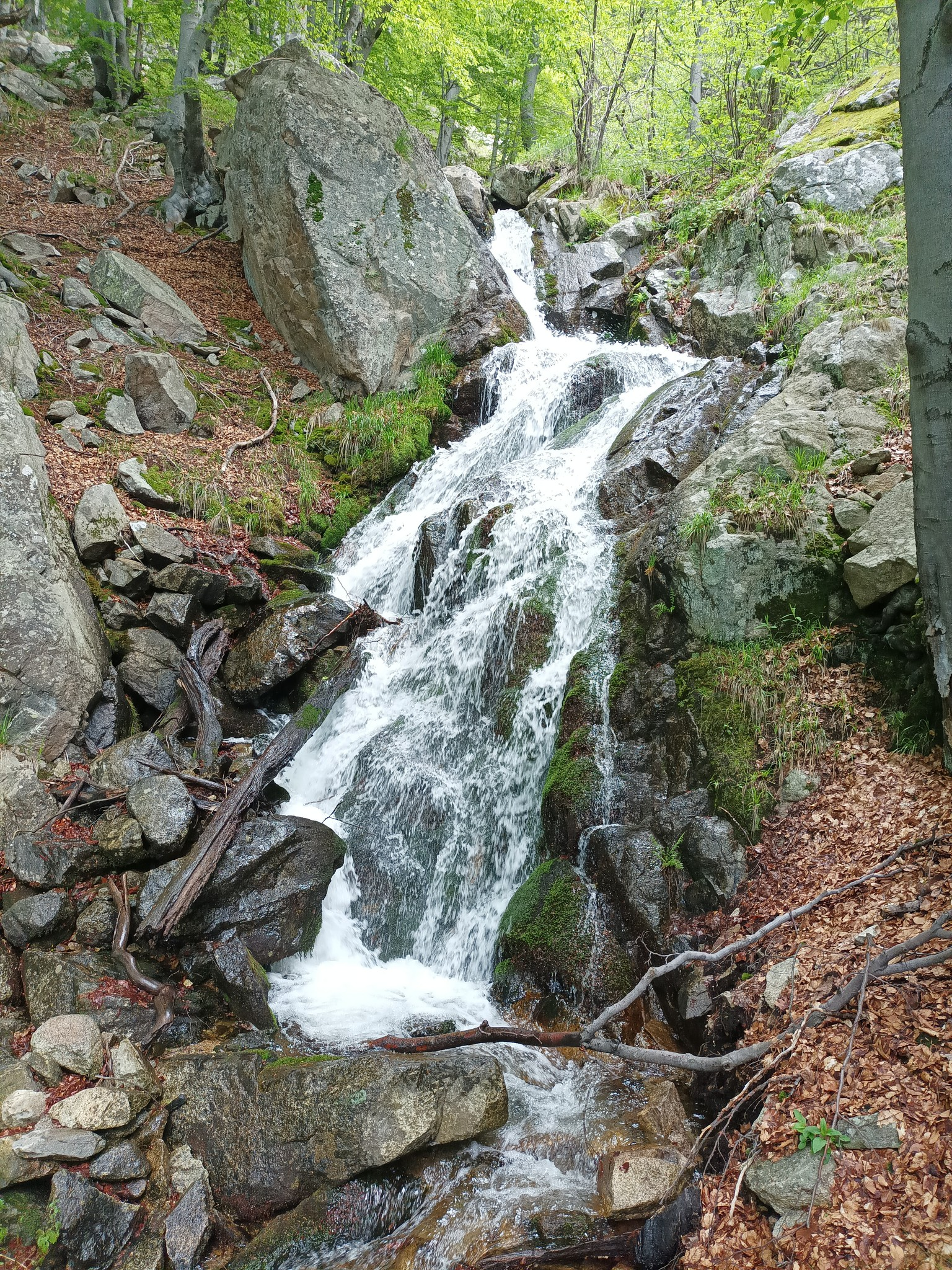 Долен водопад Десен приток Дълбоки дол