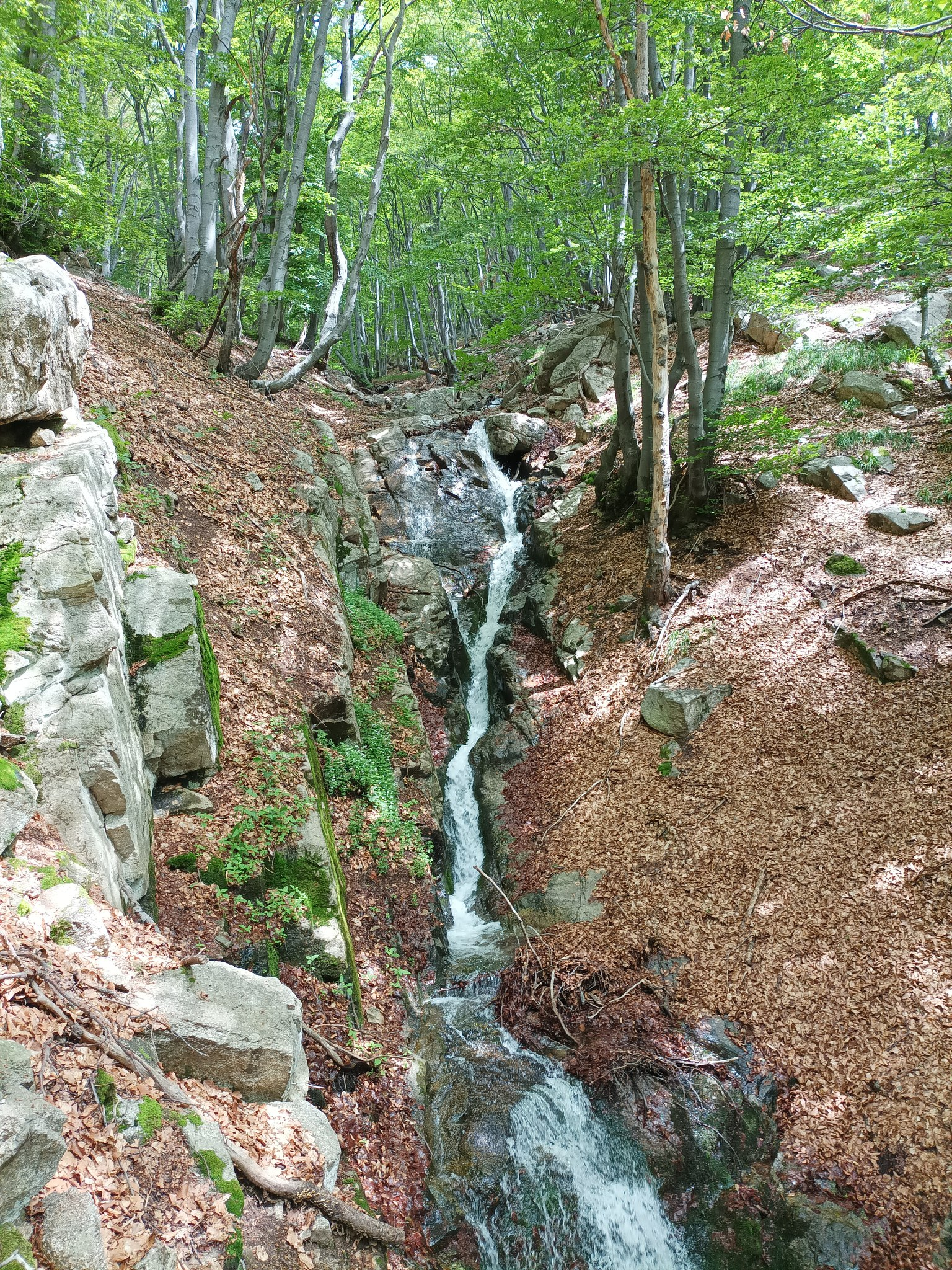 Долен водопад Мандрелия