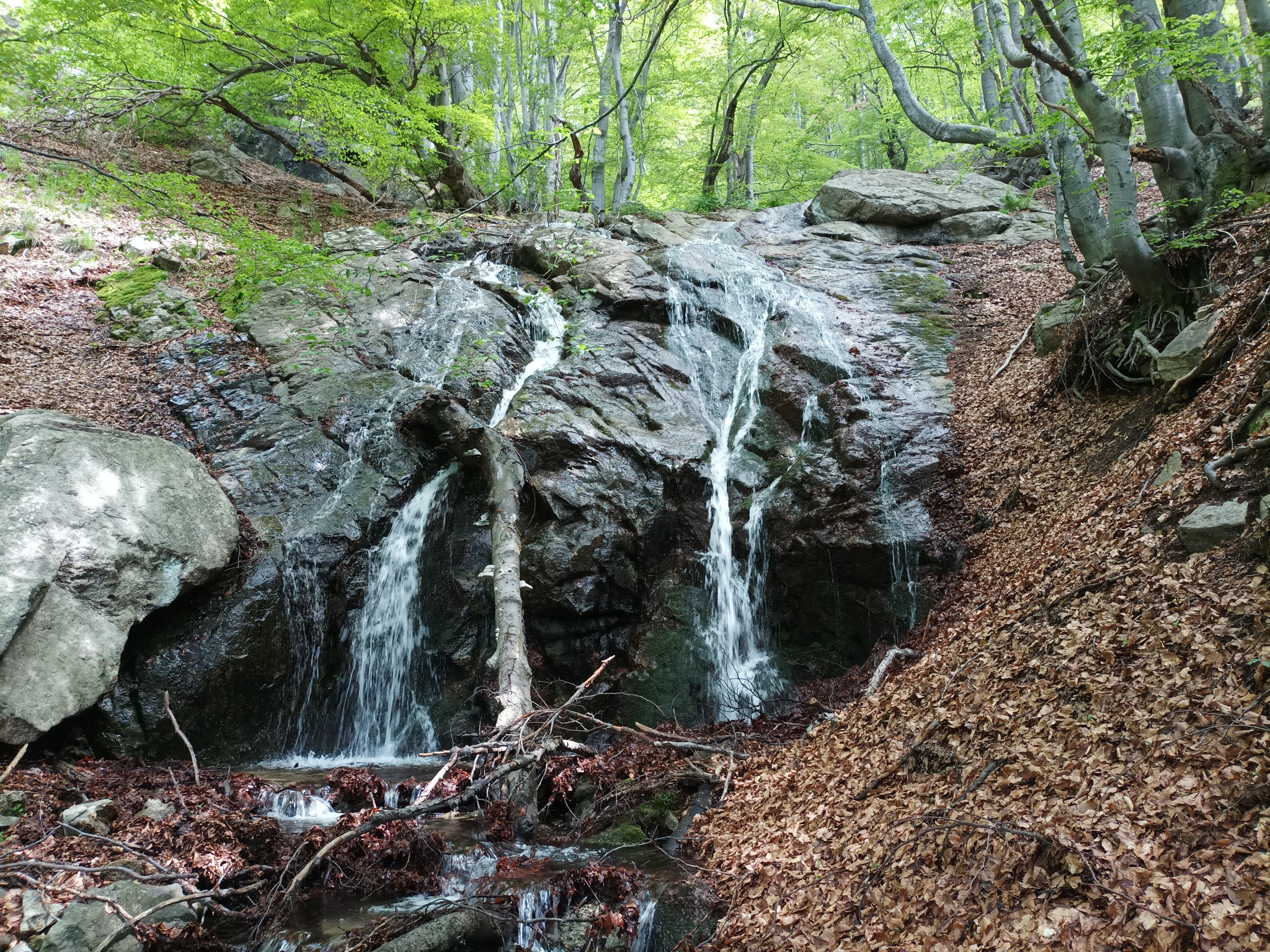 Водопад Мандрелия
