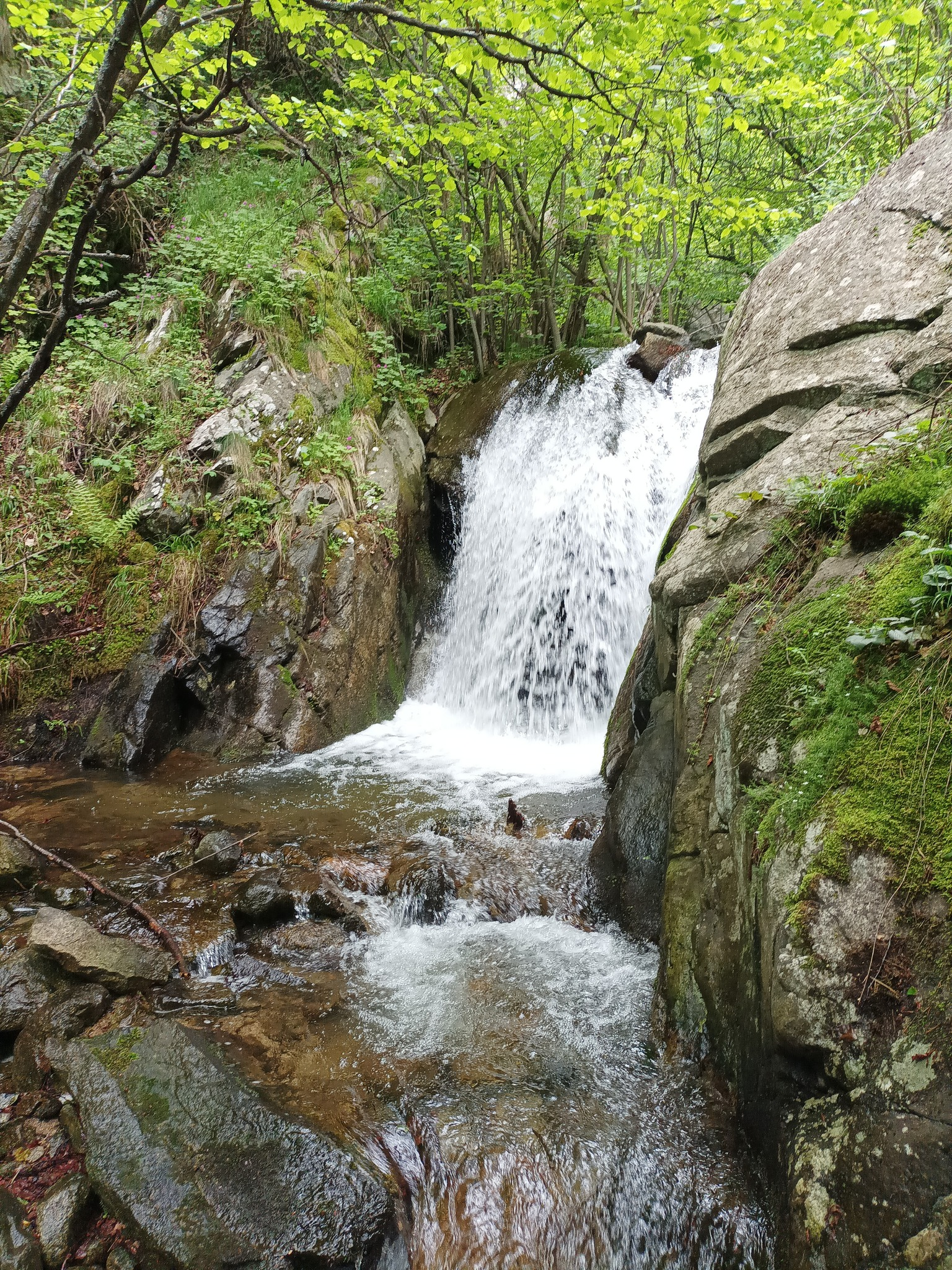 Долен Гушев водопад
