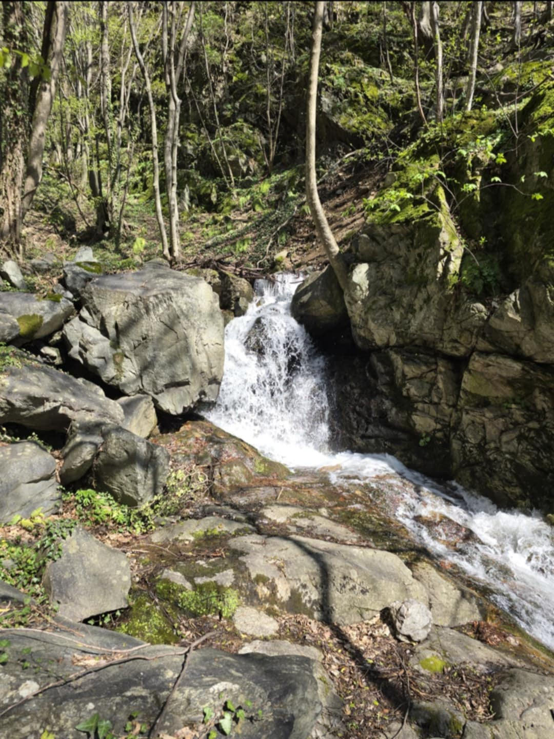 Водопад Голяма Николищница 1