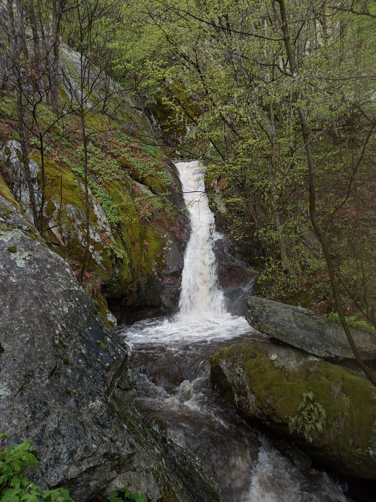 Водопад Малка Николищница 2