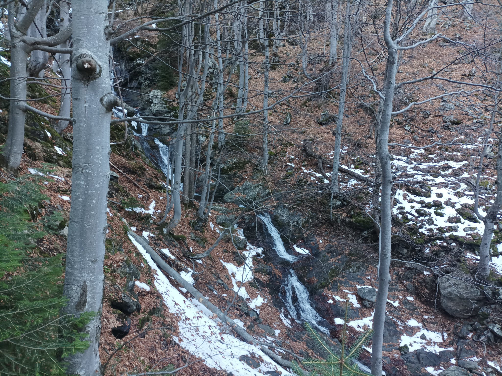 Горна каскада Леевица