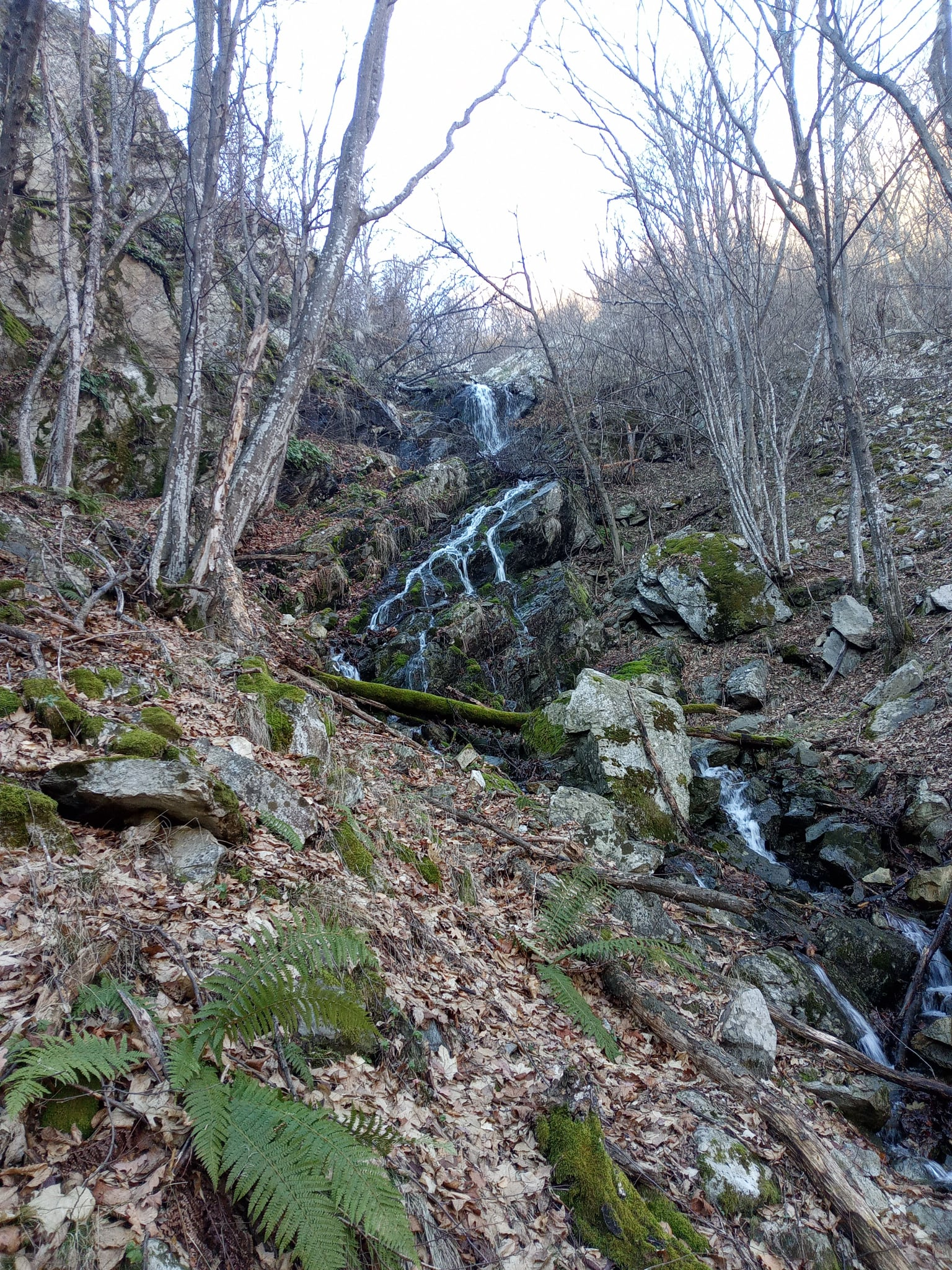 Каскада десен приток Неволя