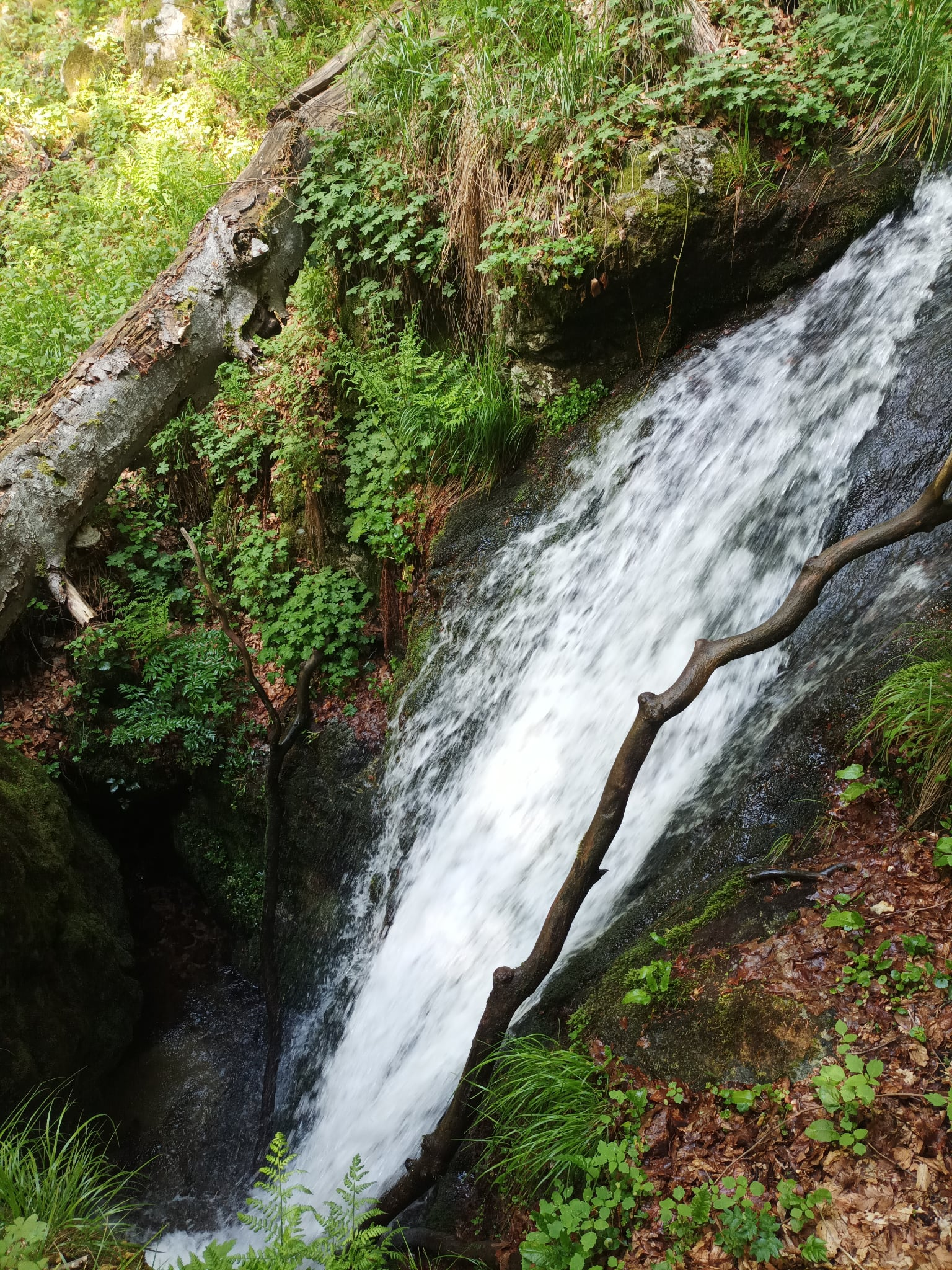 Водопад Пашовица