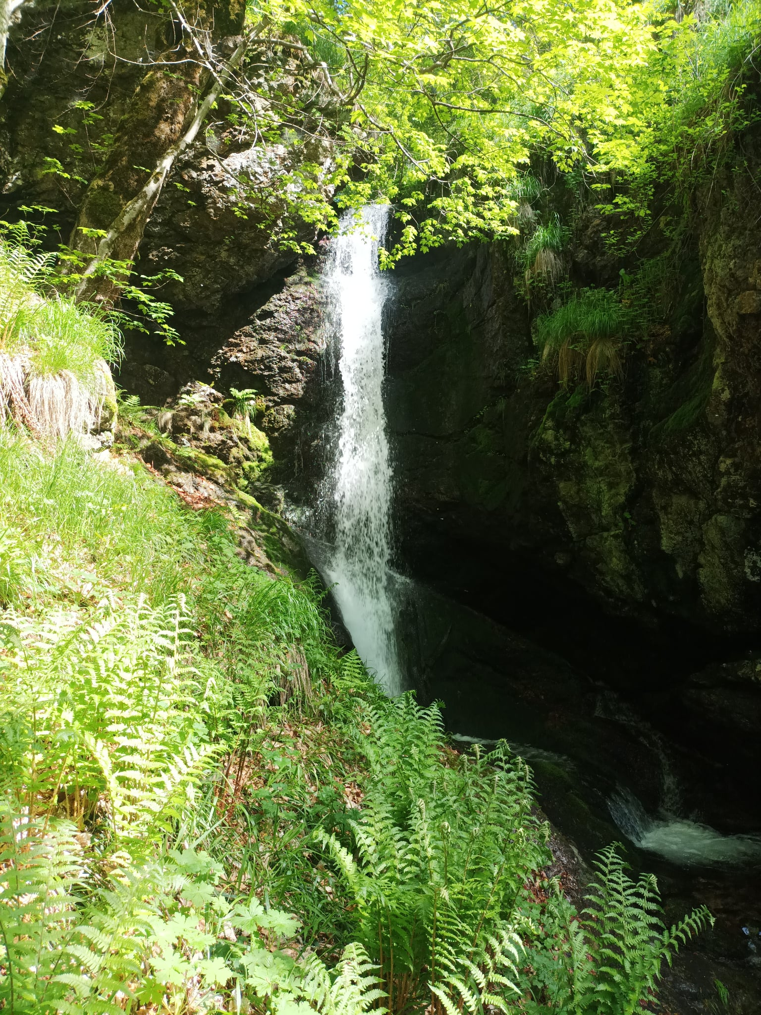 Каскада Пашовица