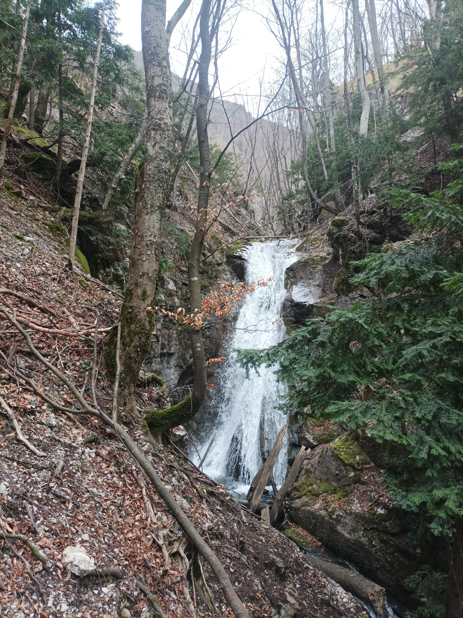 Долен водопад Кюй дере