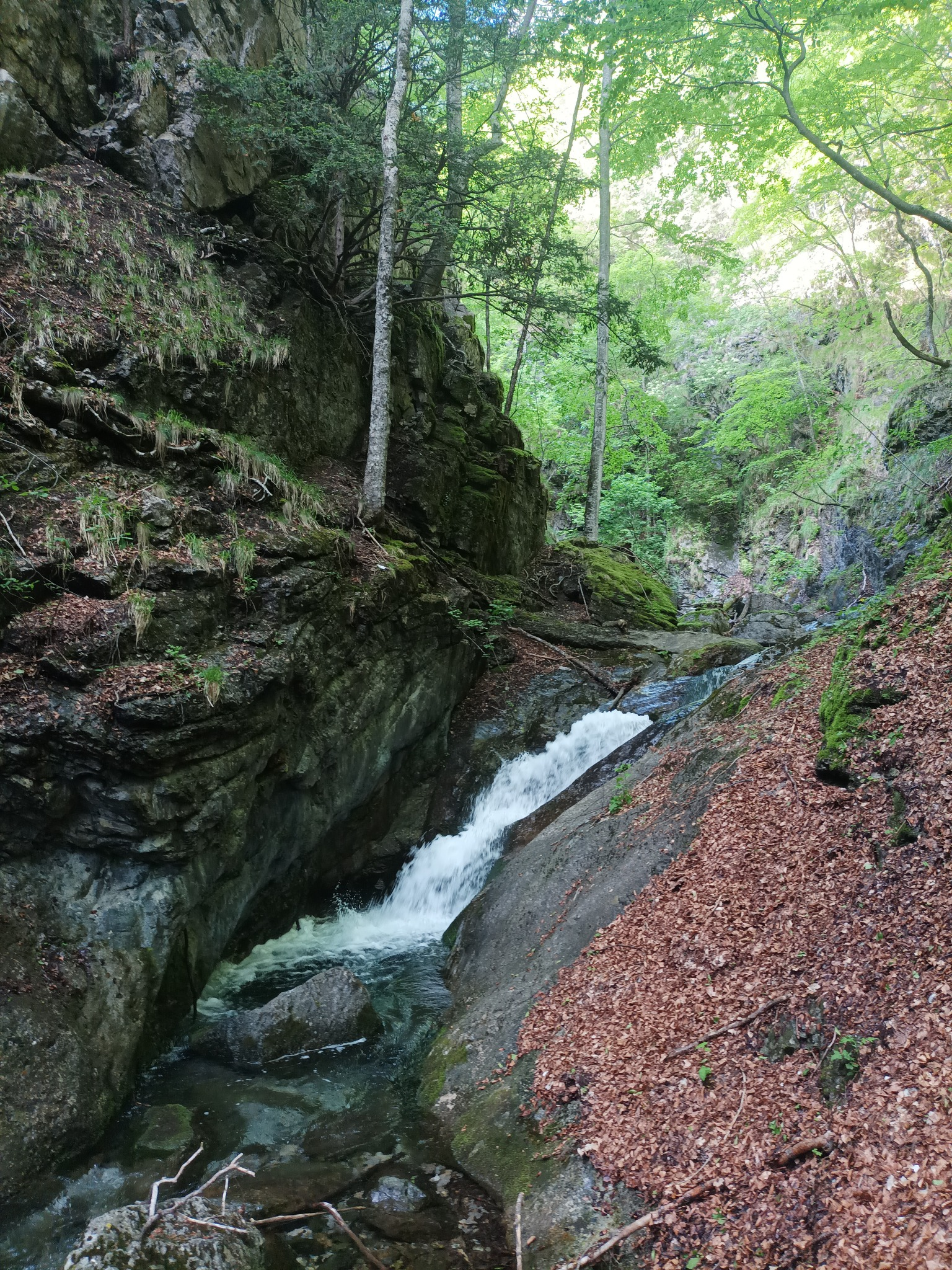Водопад Куру дере 4