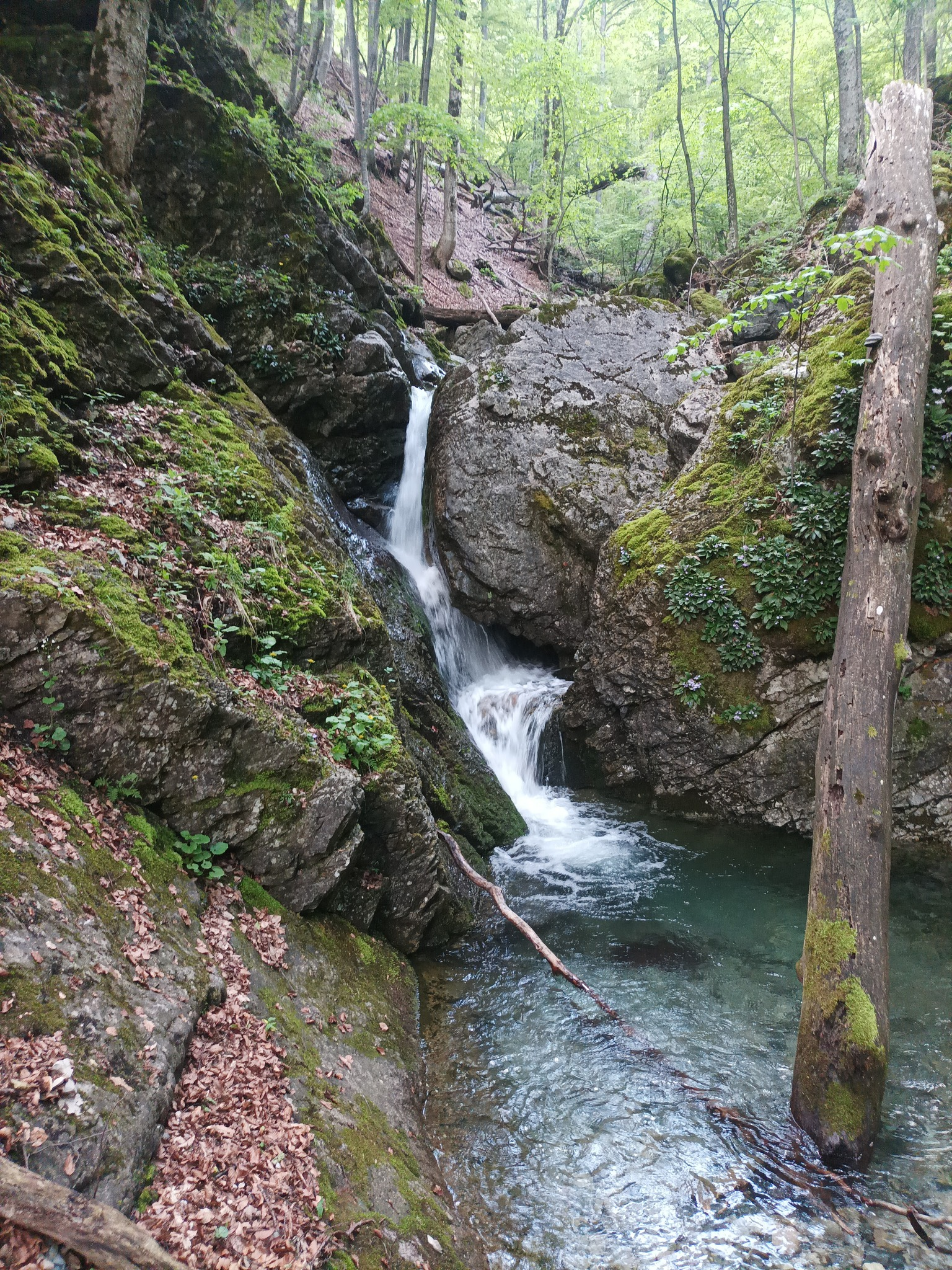 Водопад Куру дере 10