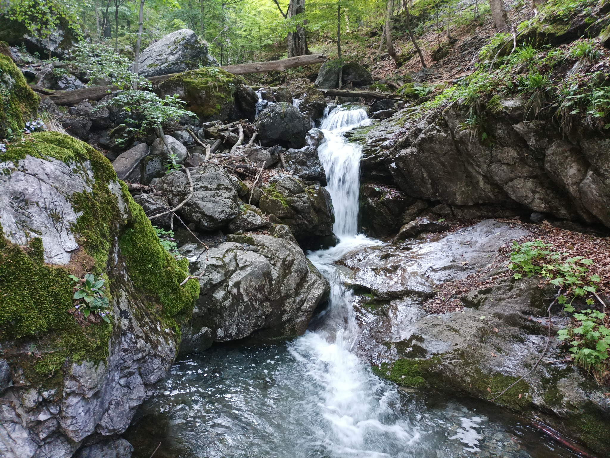 Водопад Куру дере 12