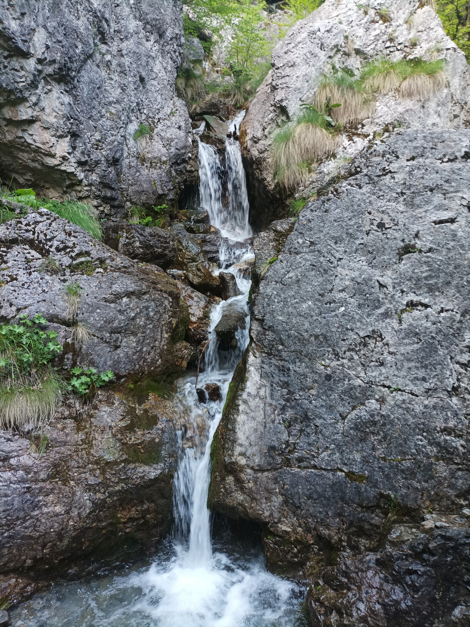 Водопад Куру дере 14