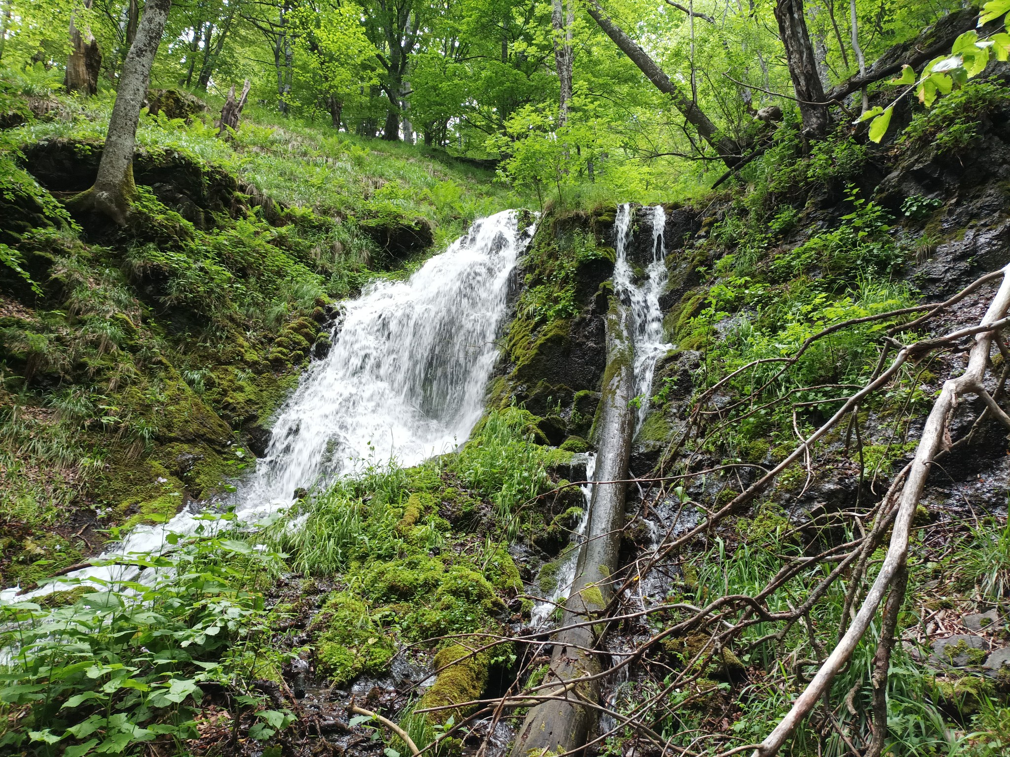 Водопад Карстовия извор