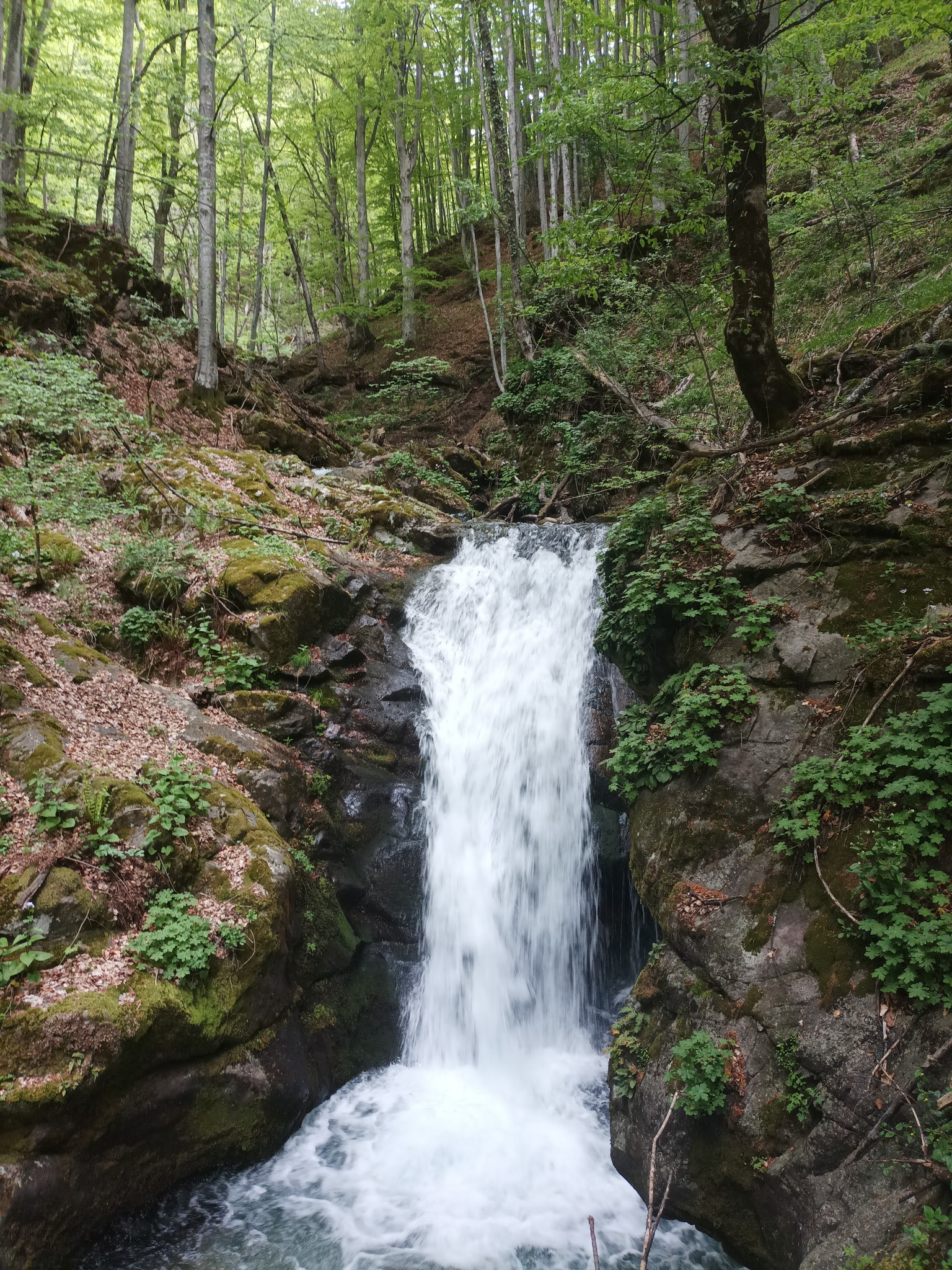 Водопад Голяма Бъзовица 2