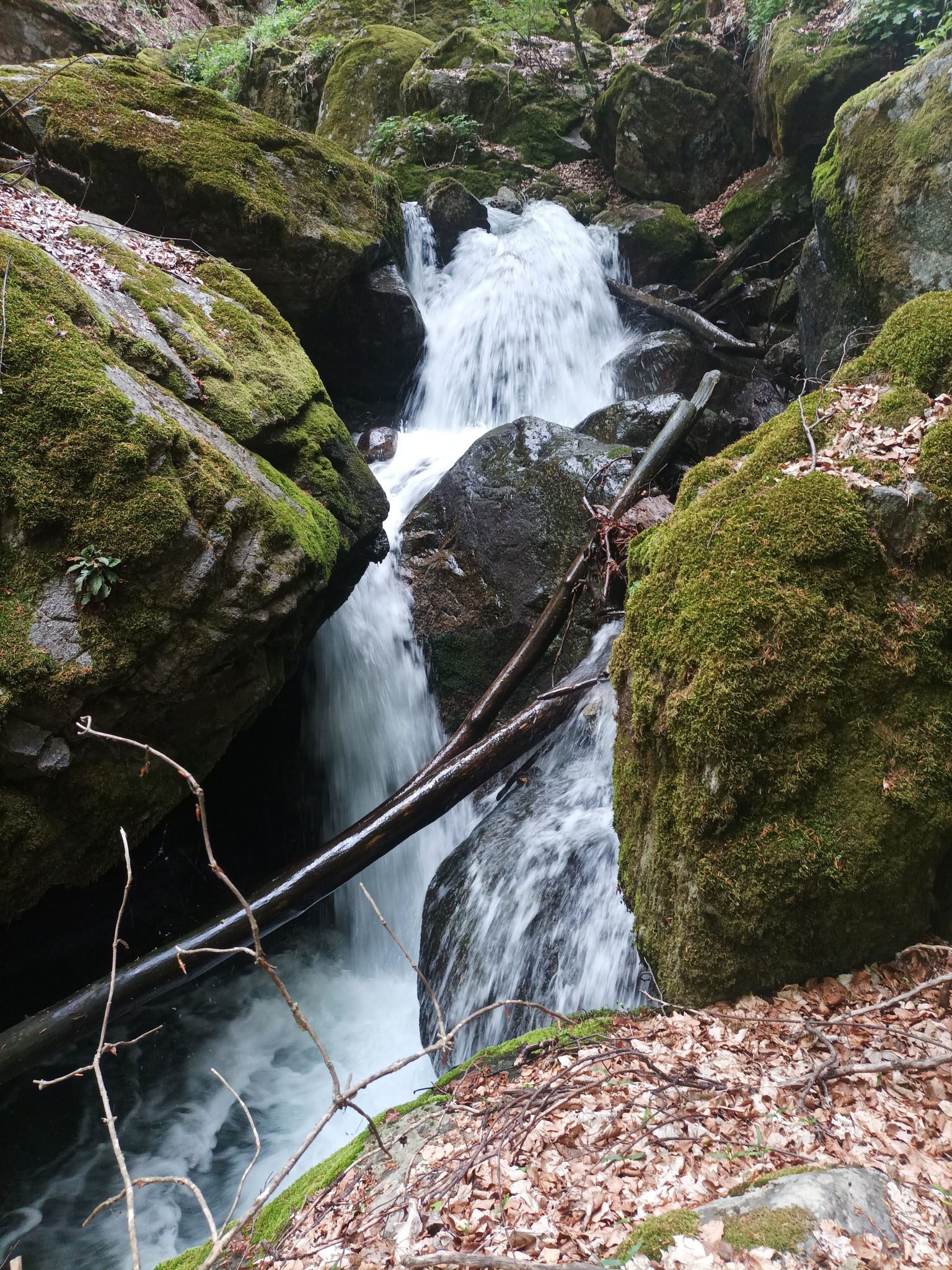 Водопад Голяма Бъзовица 3