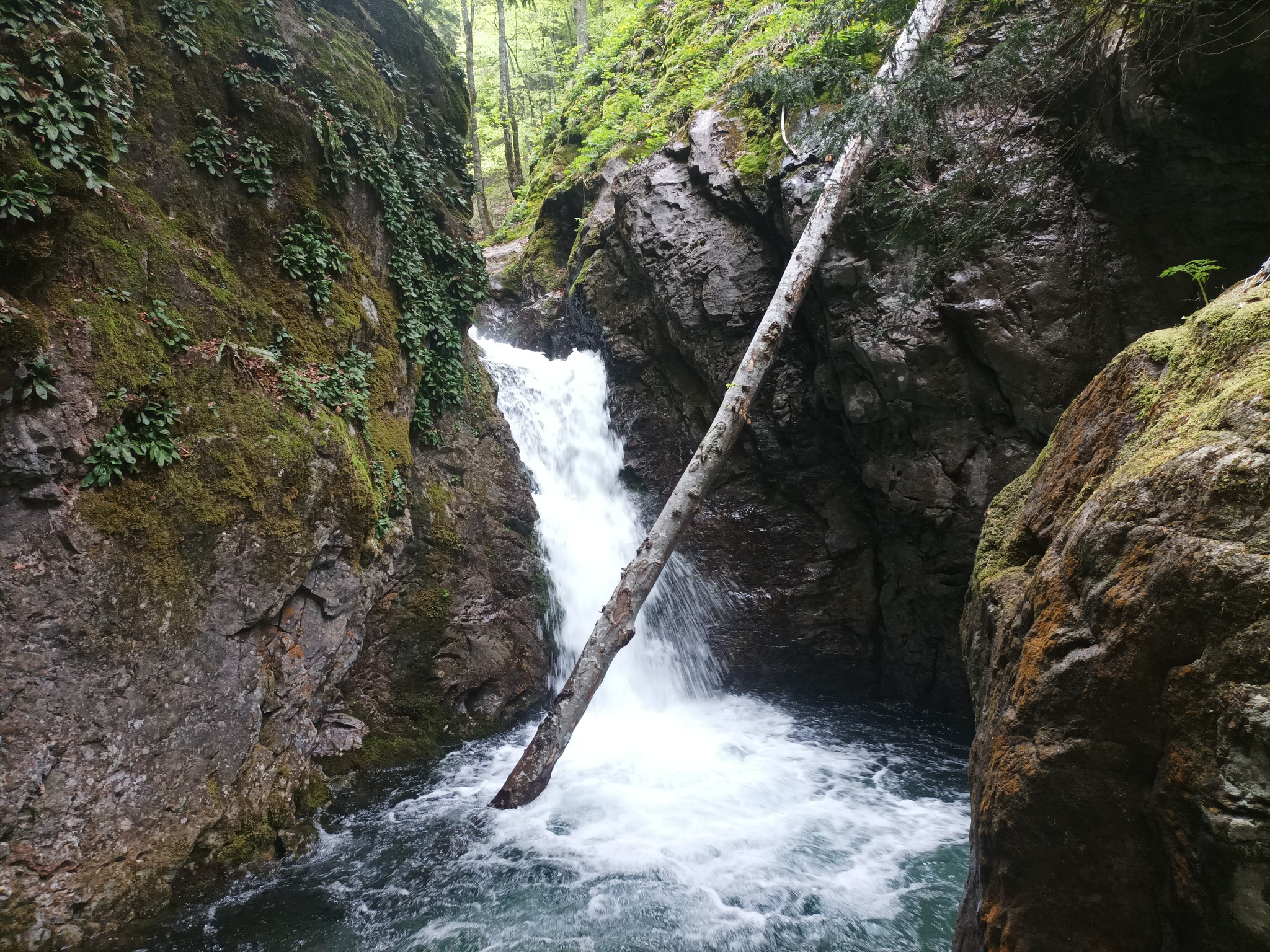 Водопад Голяма Бъзовица