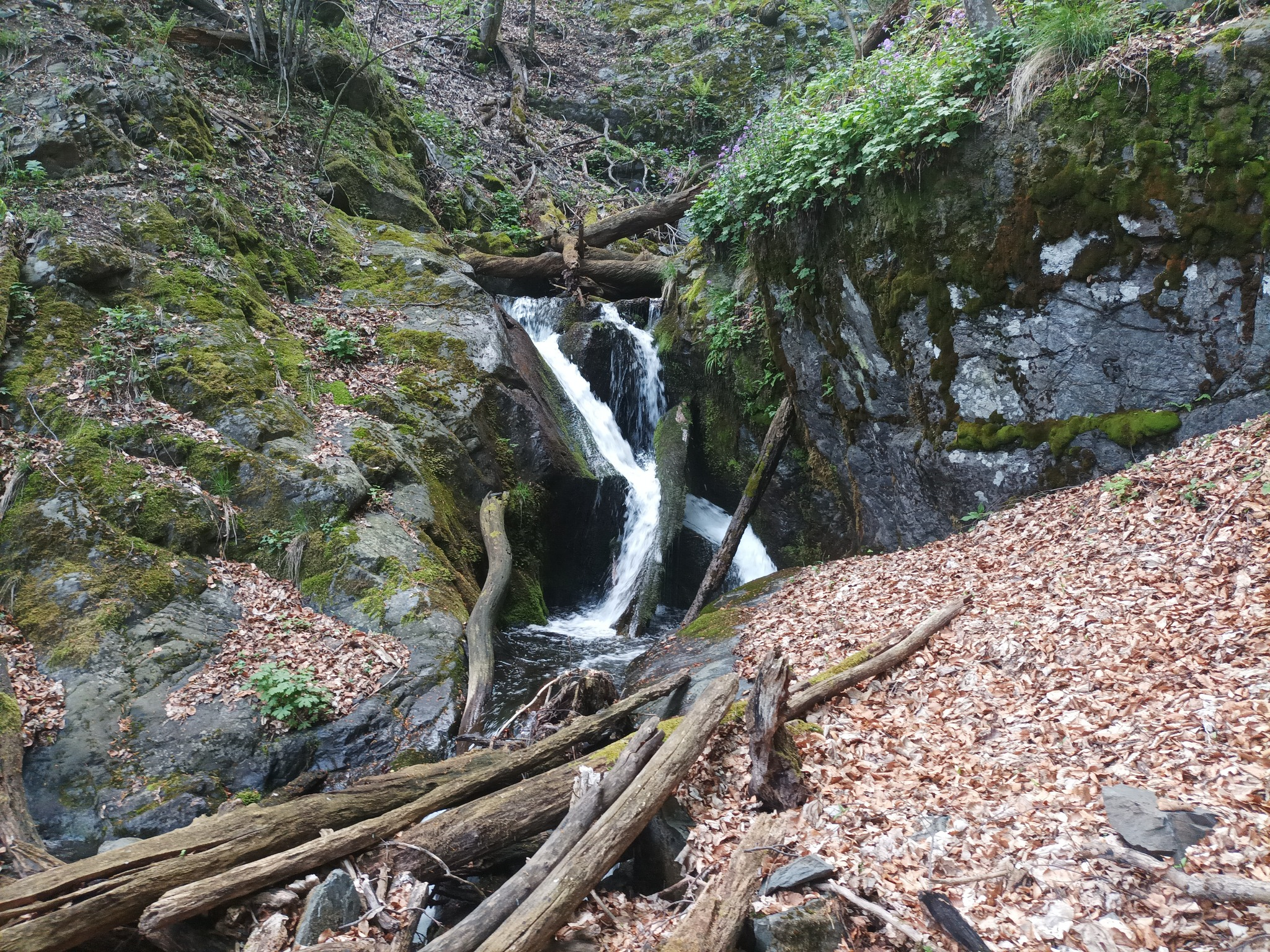 Водопад Пръскалска река 2